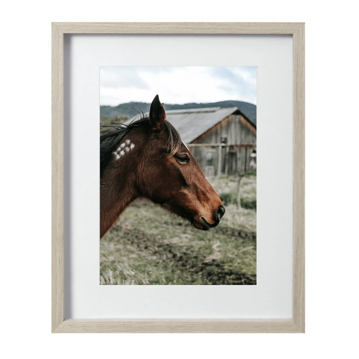 ALL FRAMES_mare oak.jpg
