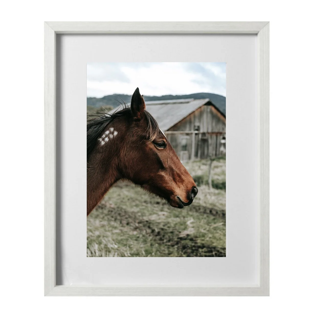 ALL FRAMES_mare white.jpg