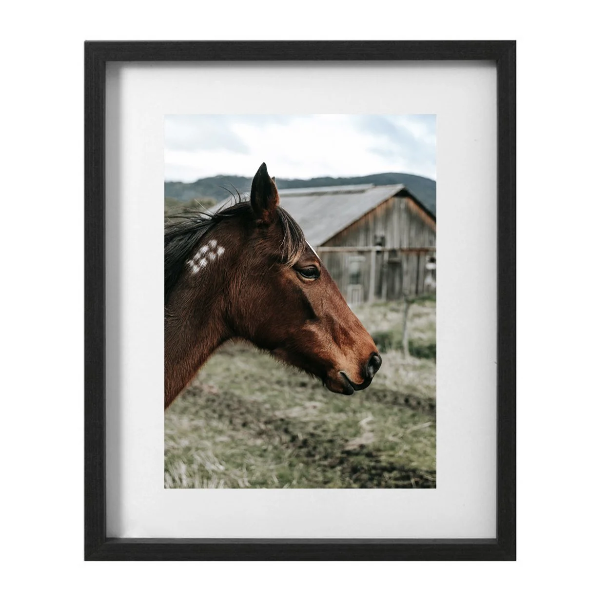 ALL FRAMES_mare black.jpg
