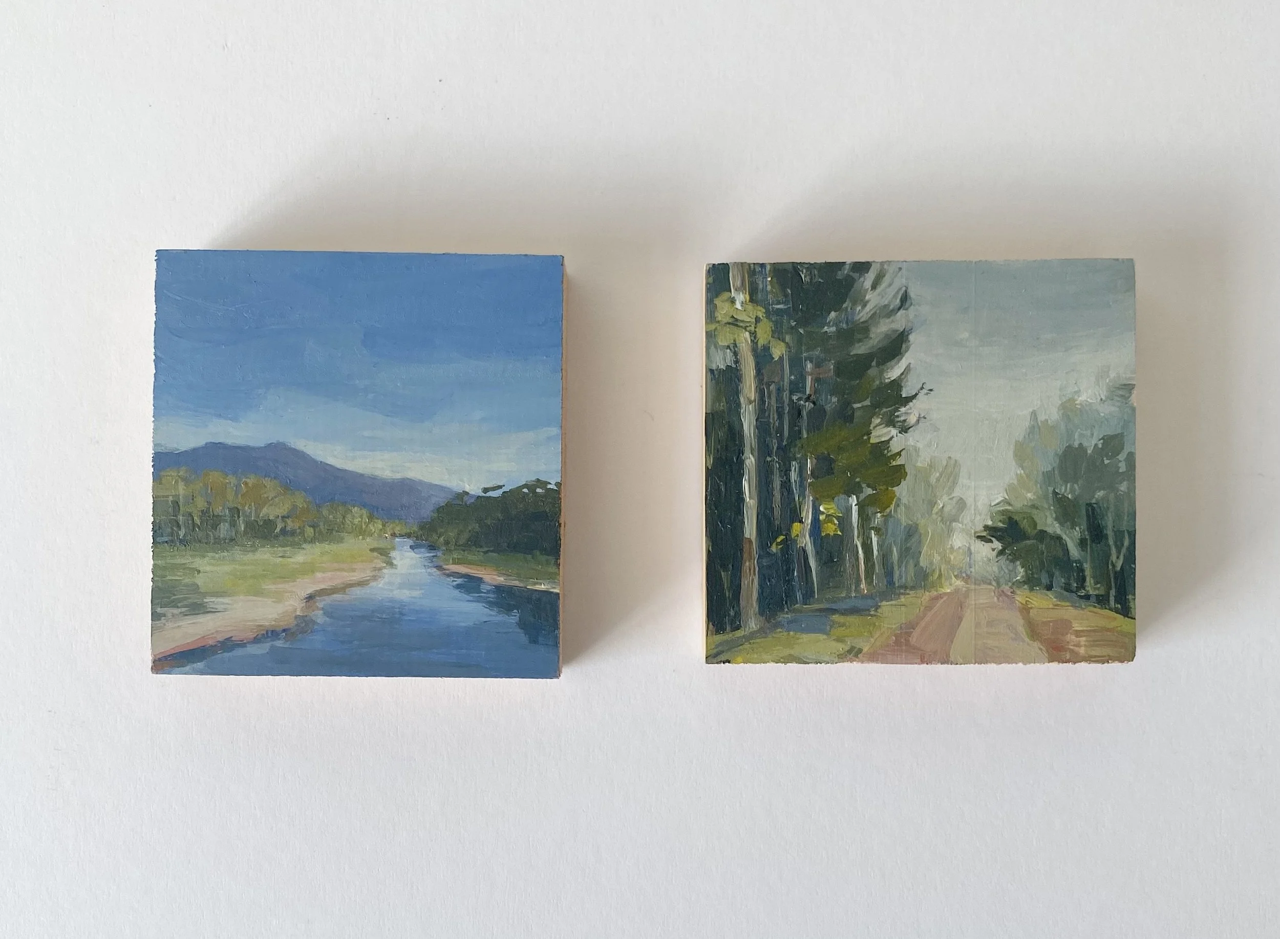 river and fprest.jpg