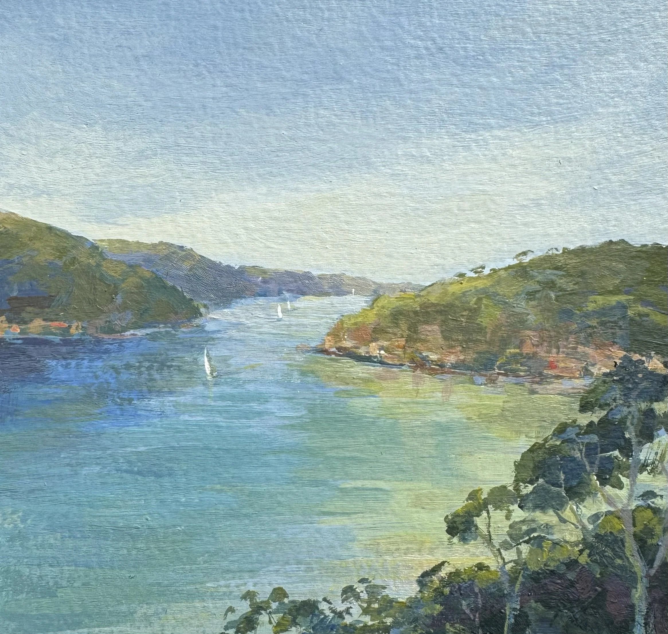 pittatwater coast.jpg