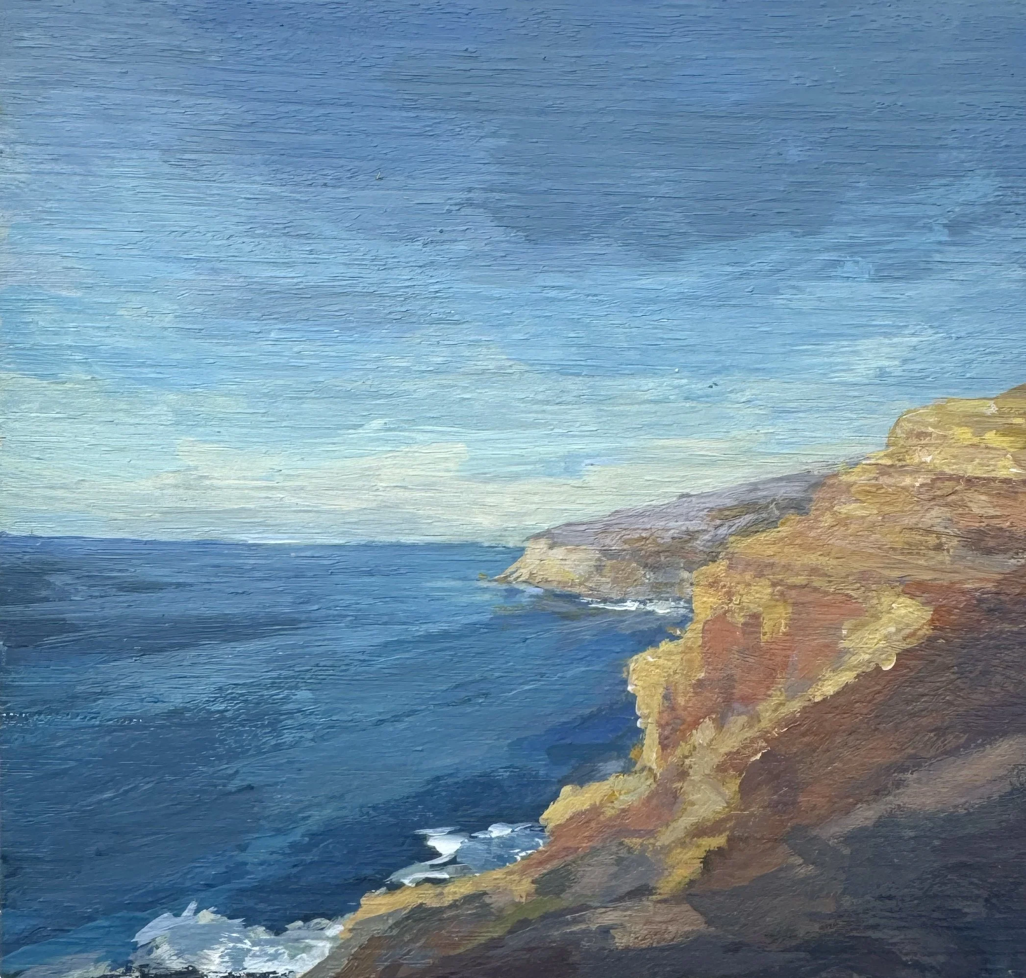 tasmania coast.jpg