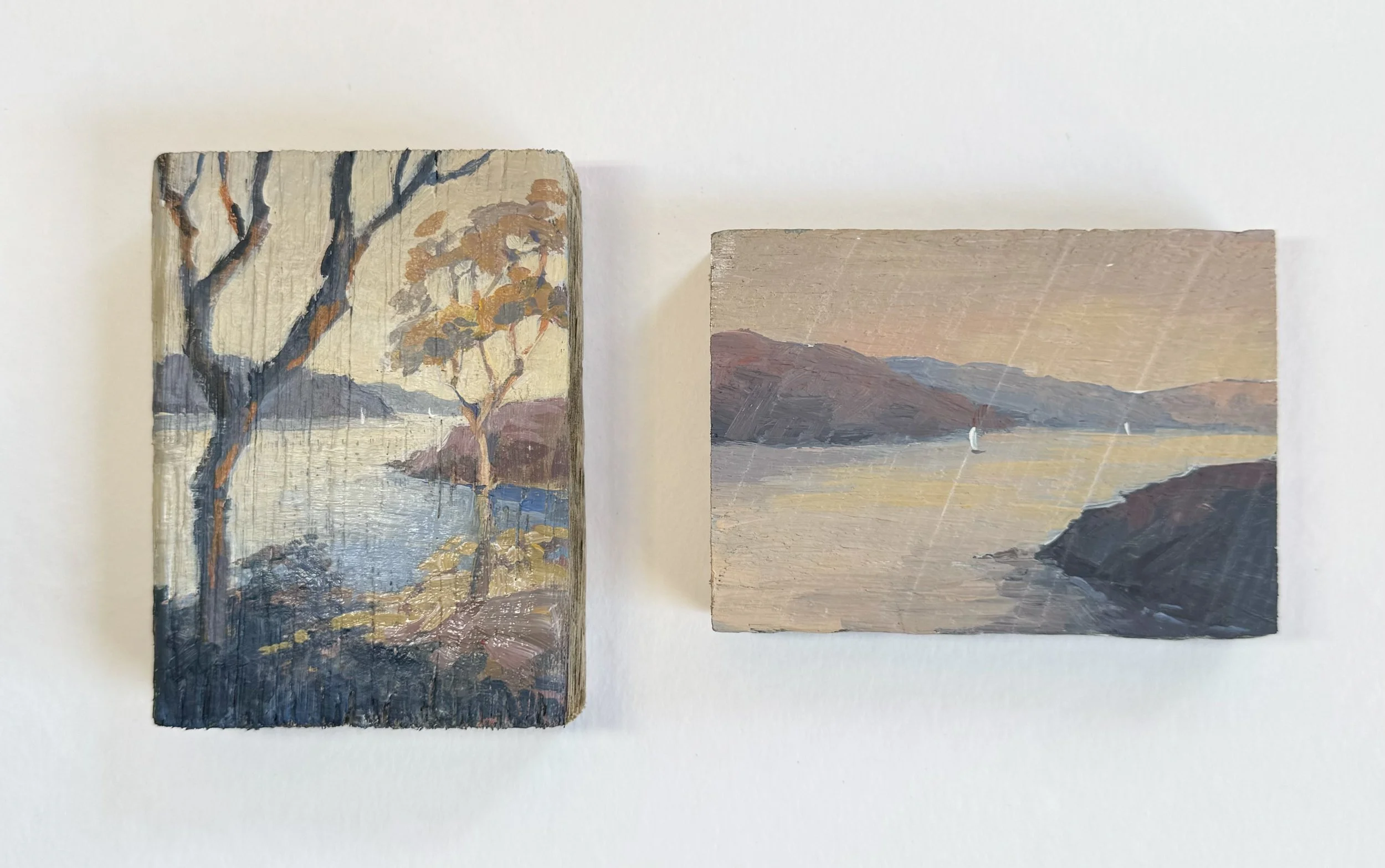 sunset tree and sea.jpeg