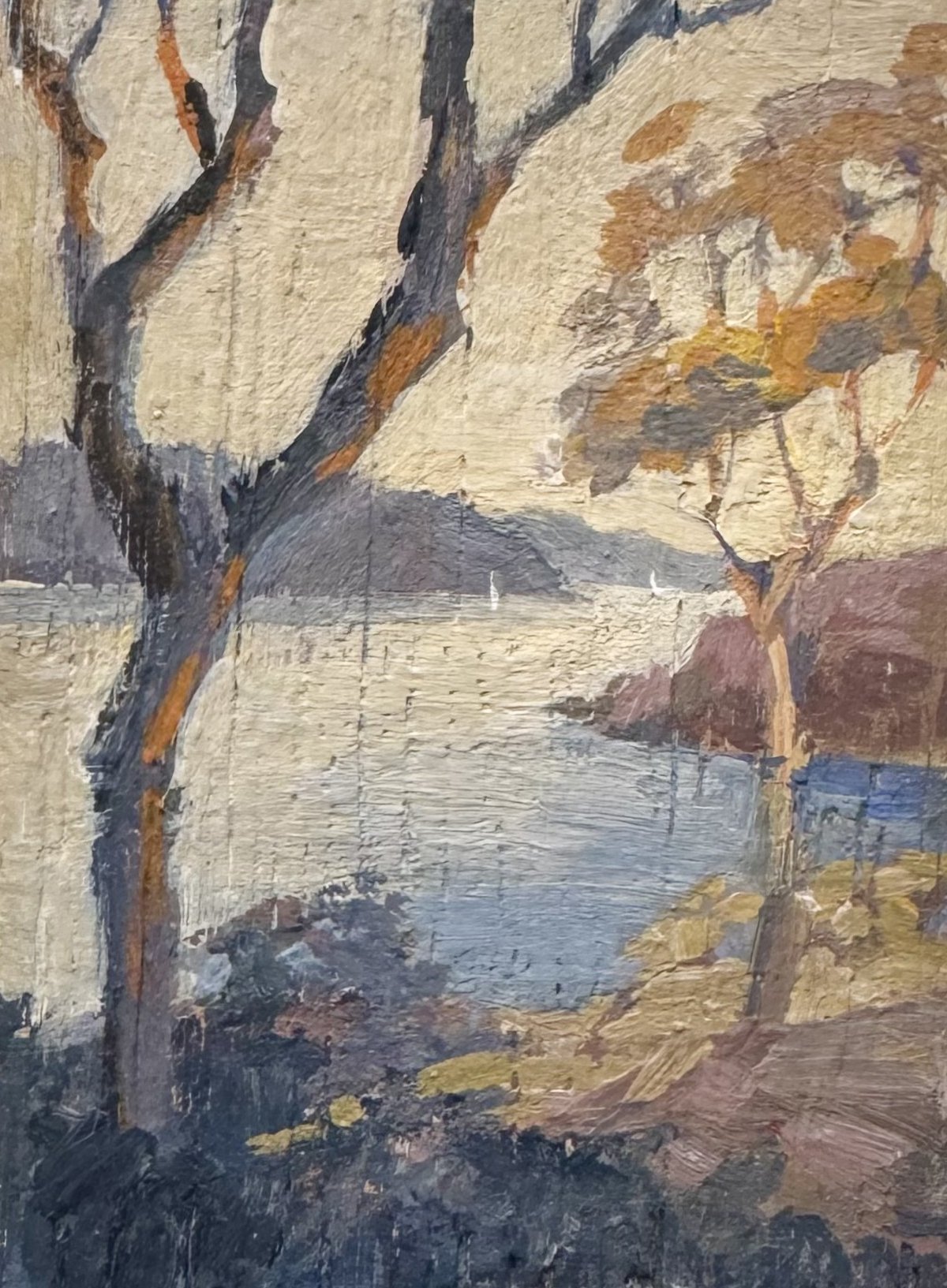 sunset tree crop.jpg