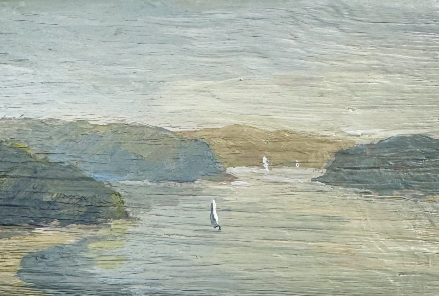 soft front crop.jpg