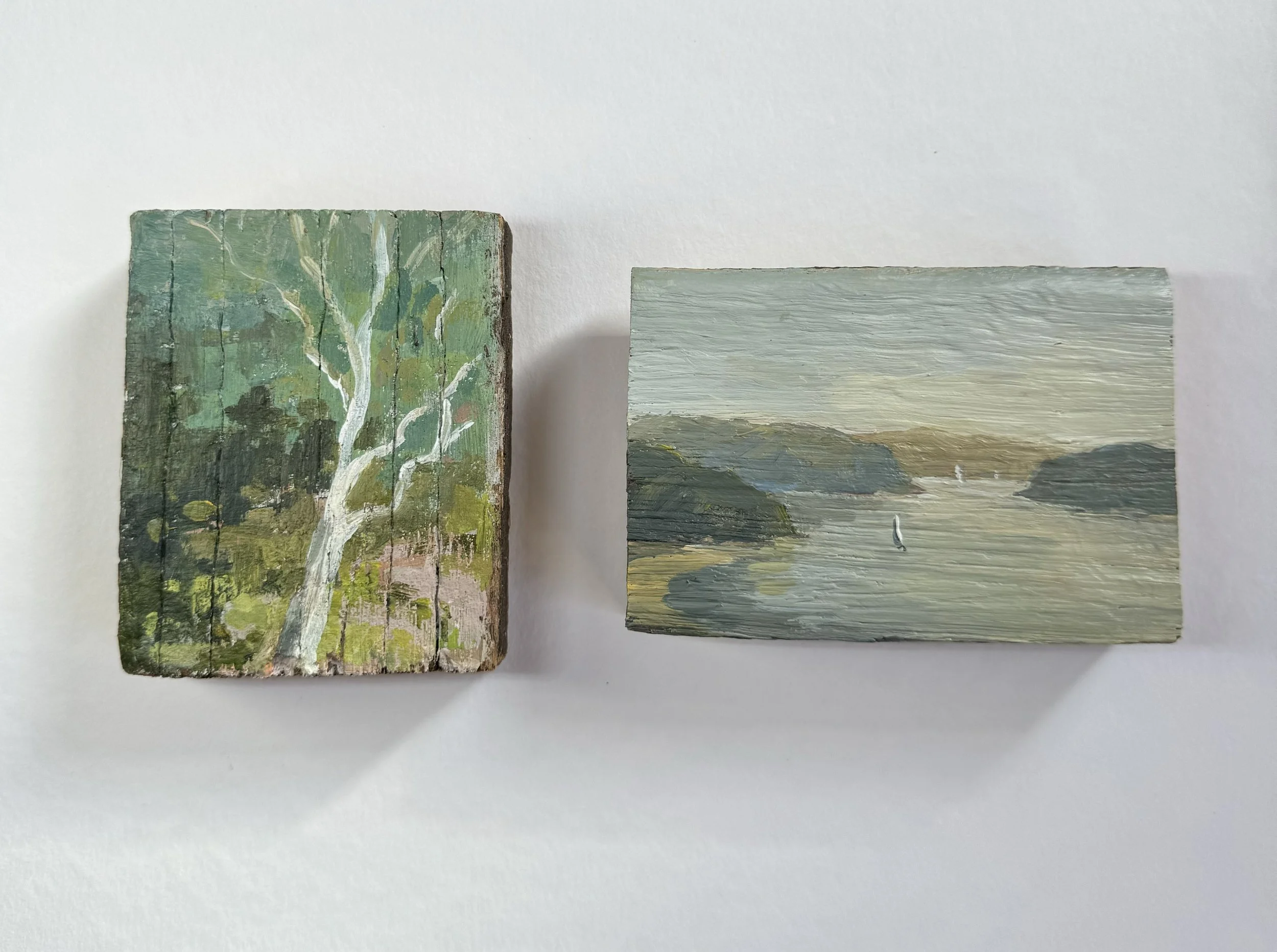 tree and soft wood.jpeg