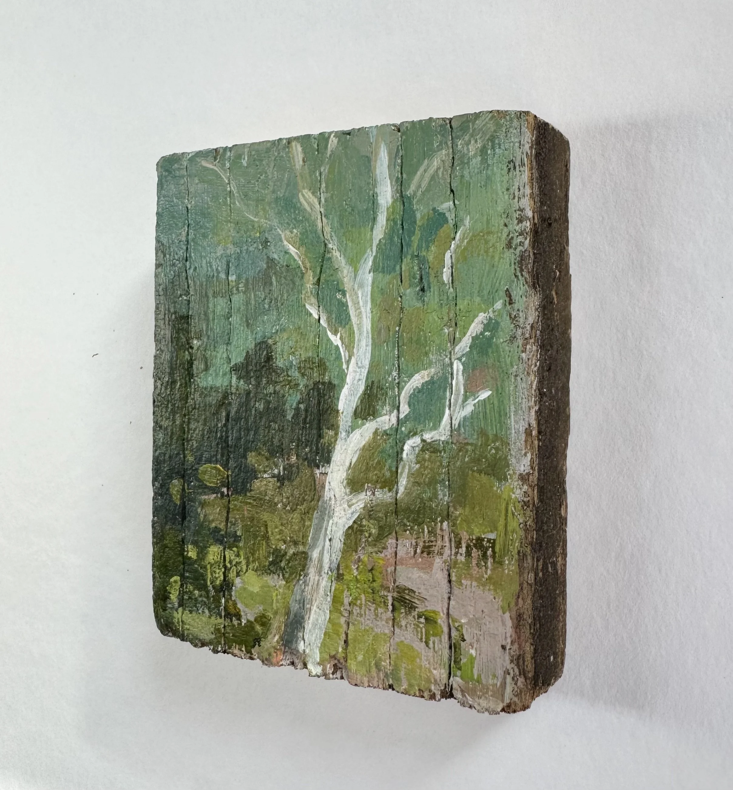 tree 2 wood side.jpeg