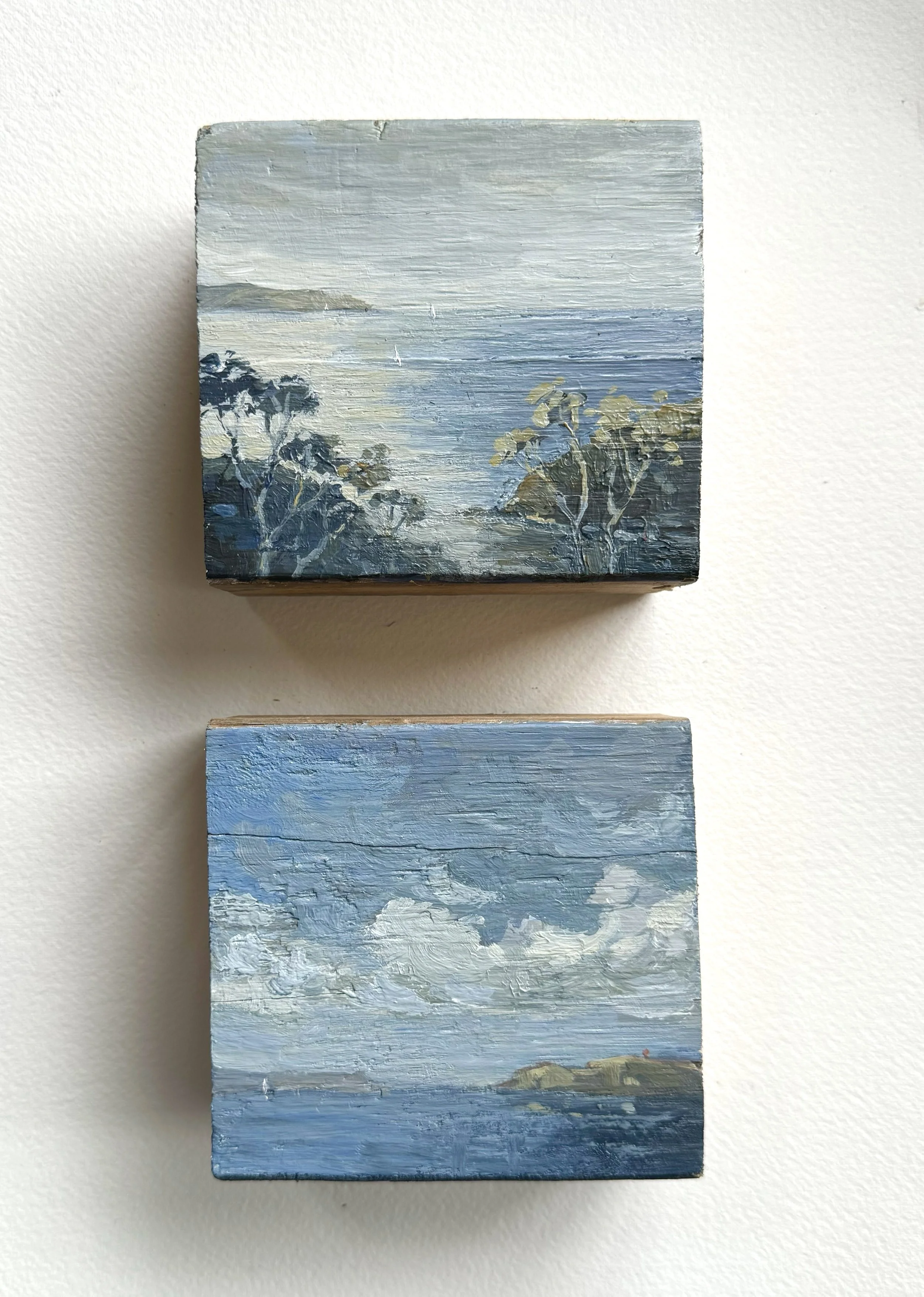 two+blues.jpg