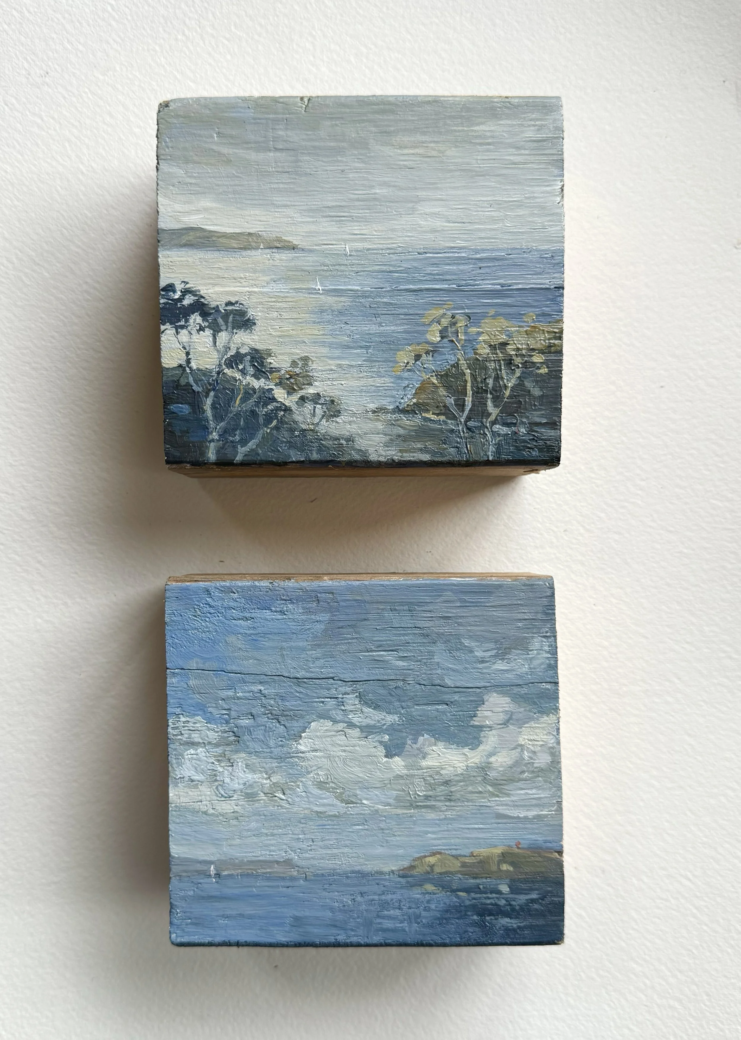 two+blues.jpg