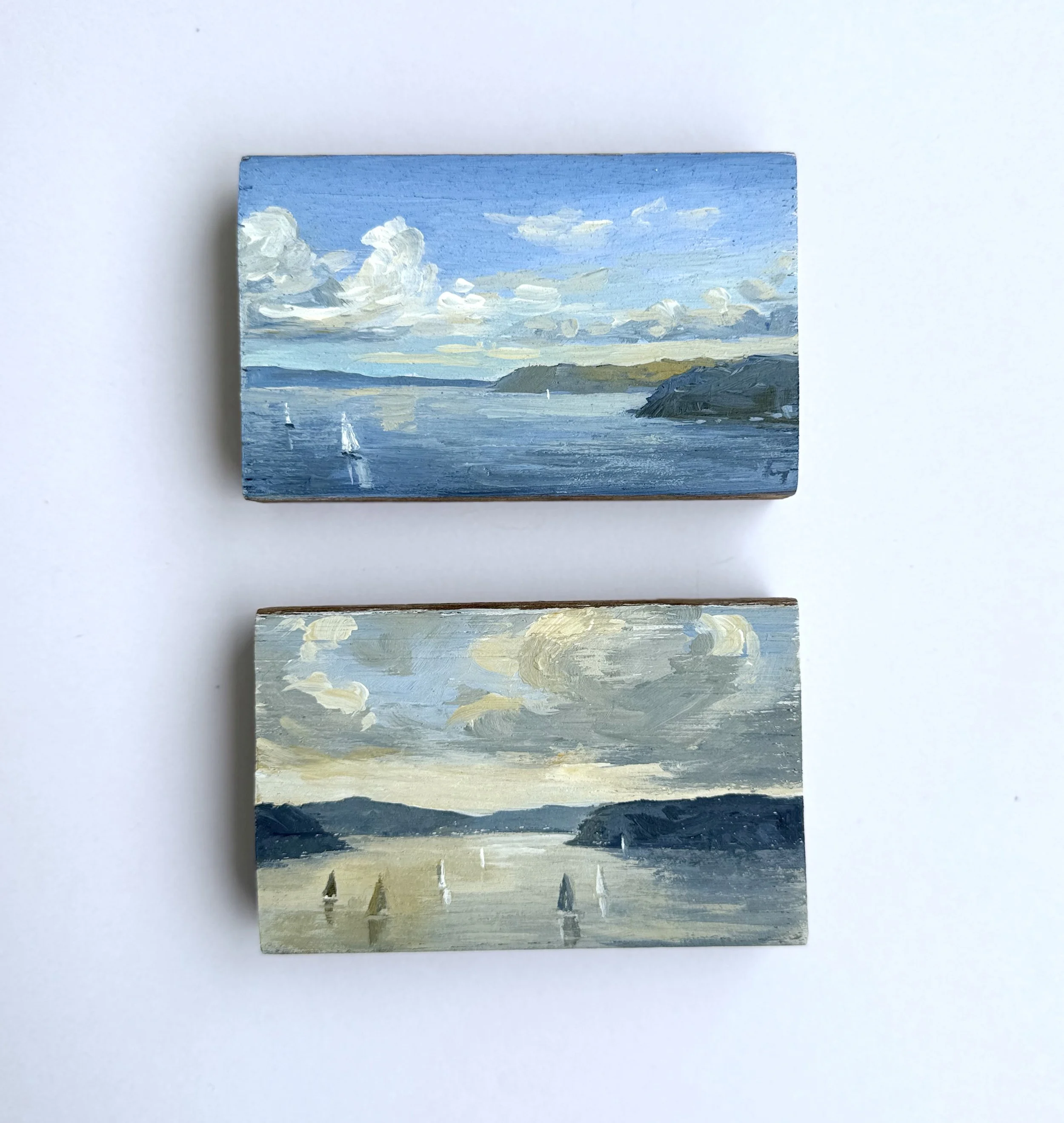2 big skies.jpg