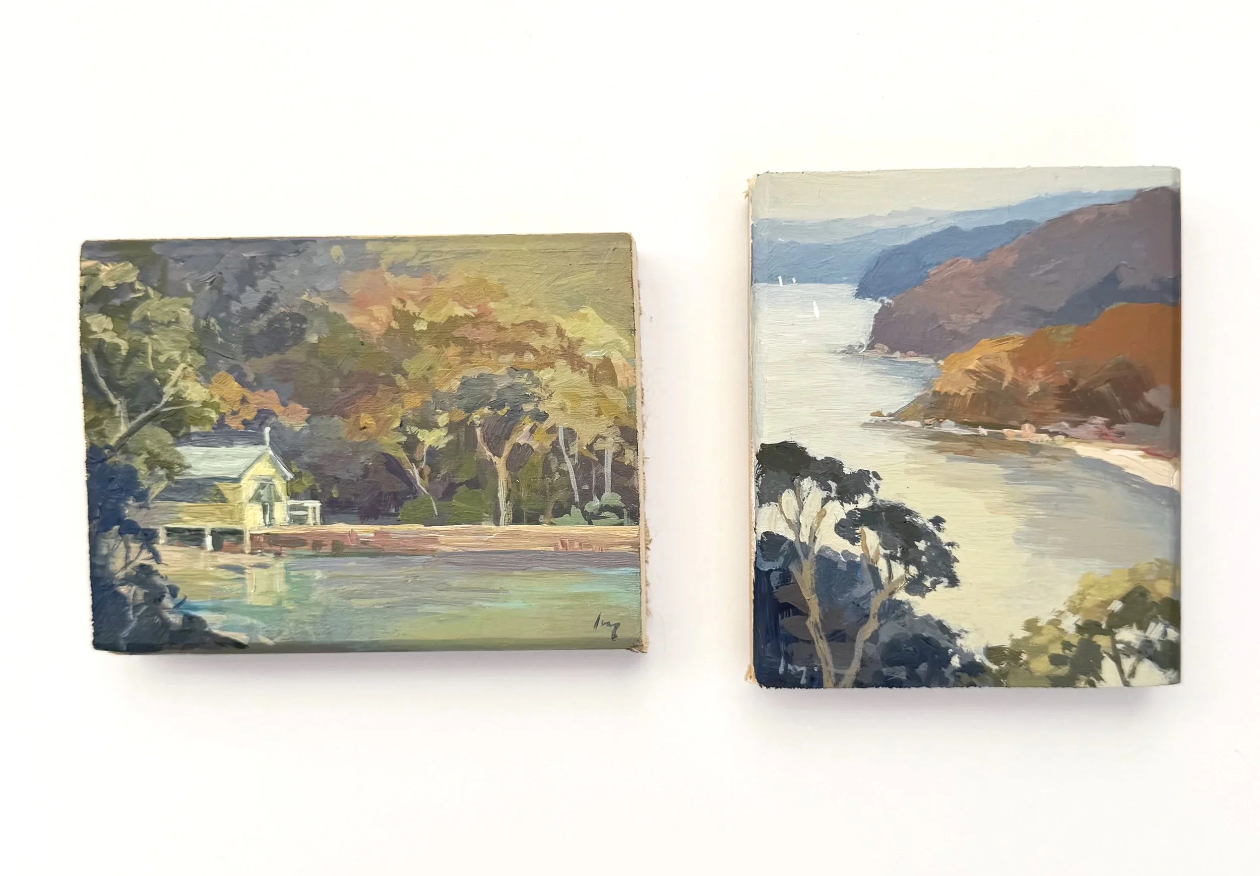 3+headland+and+shed.jpg