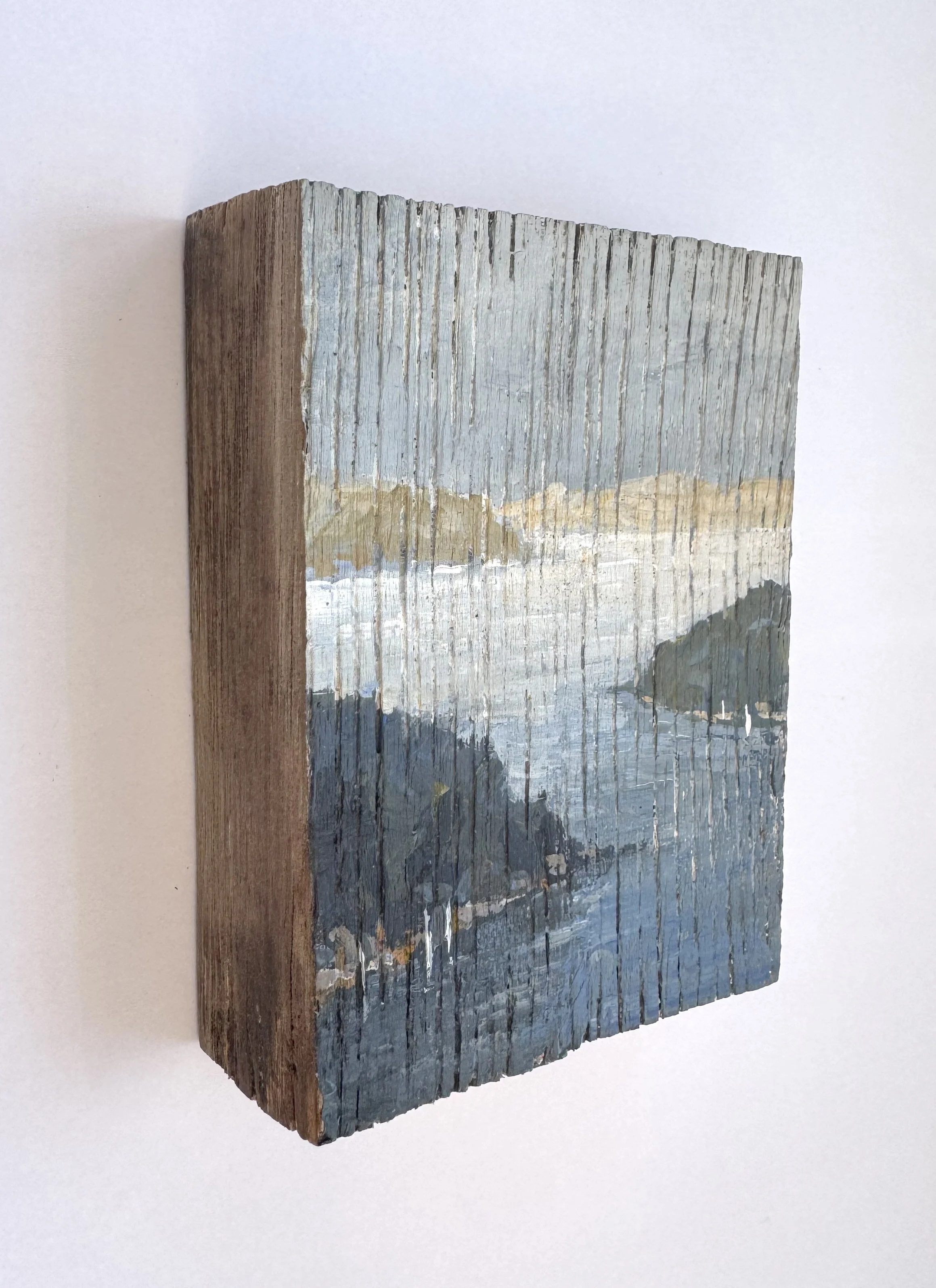 3 headland texture side.jpg