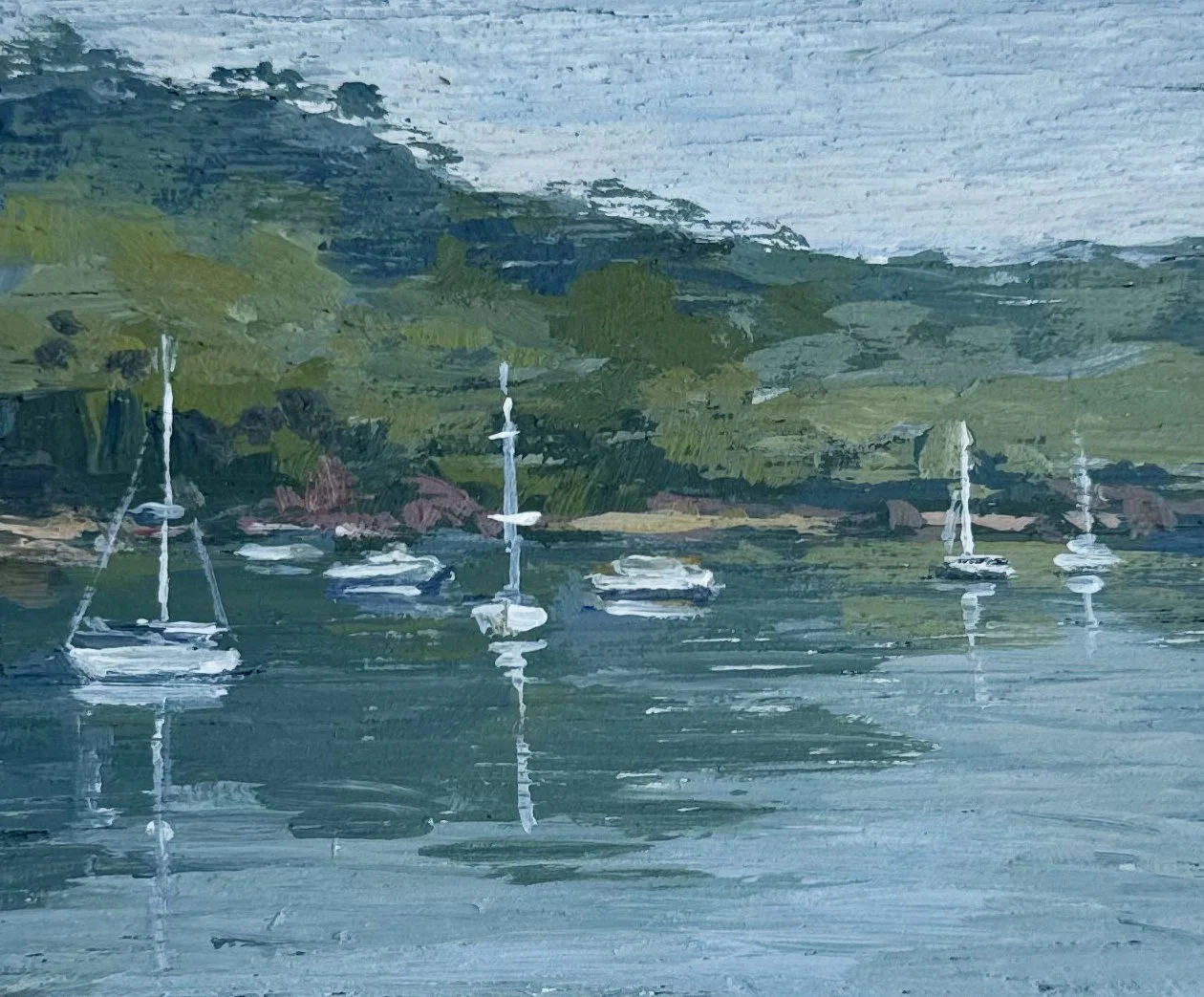 cove close.jpg