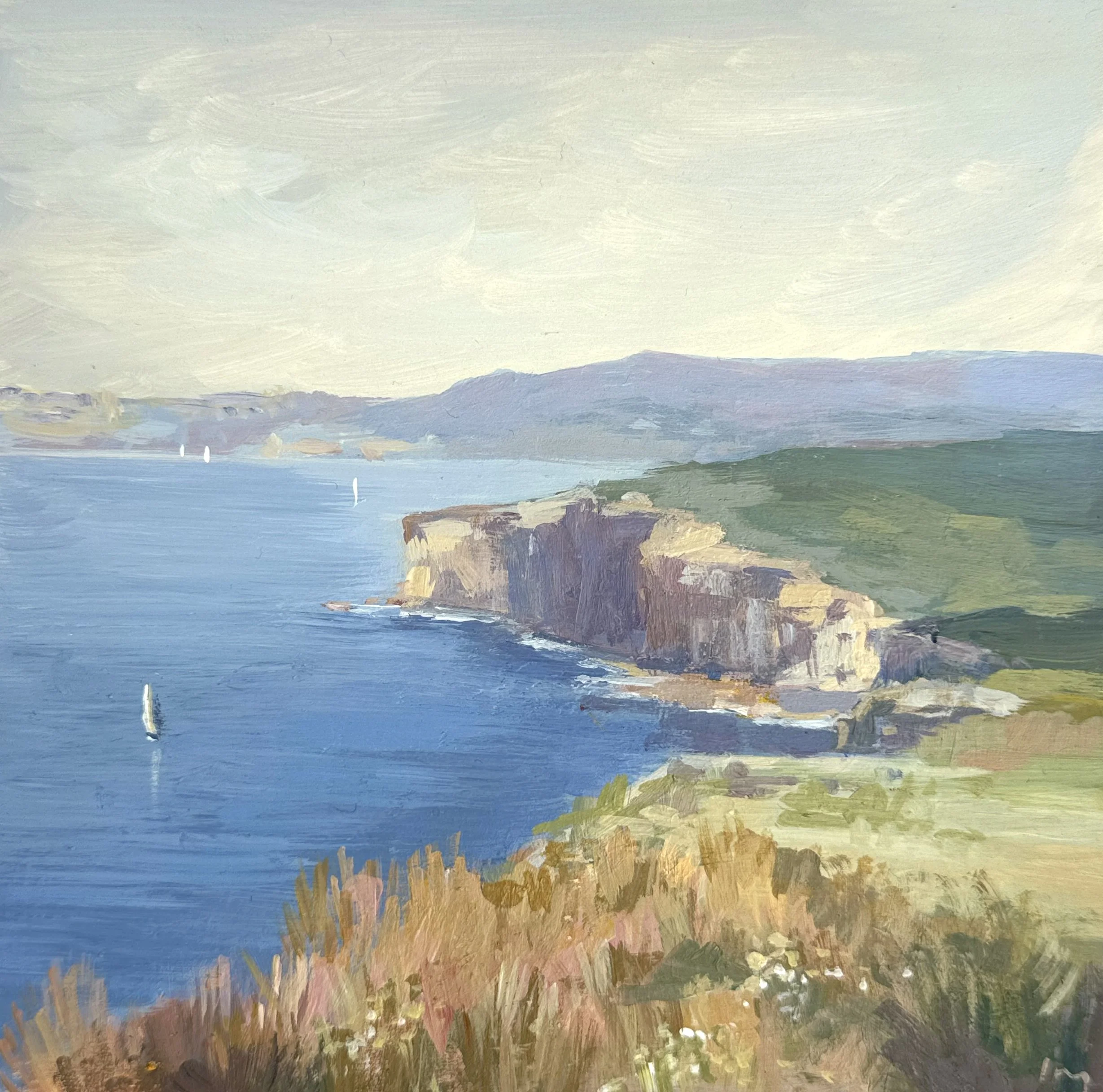 coast view close.jpg