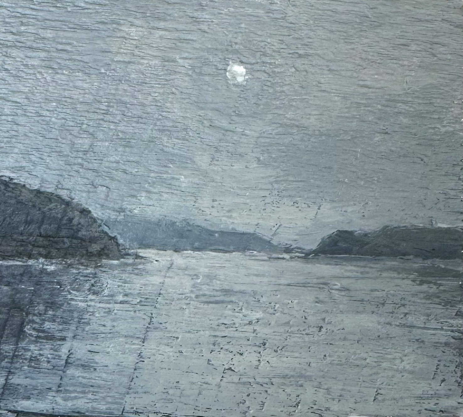 moon crop.jpg