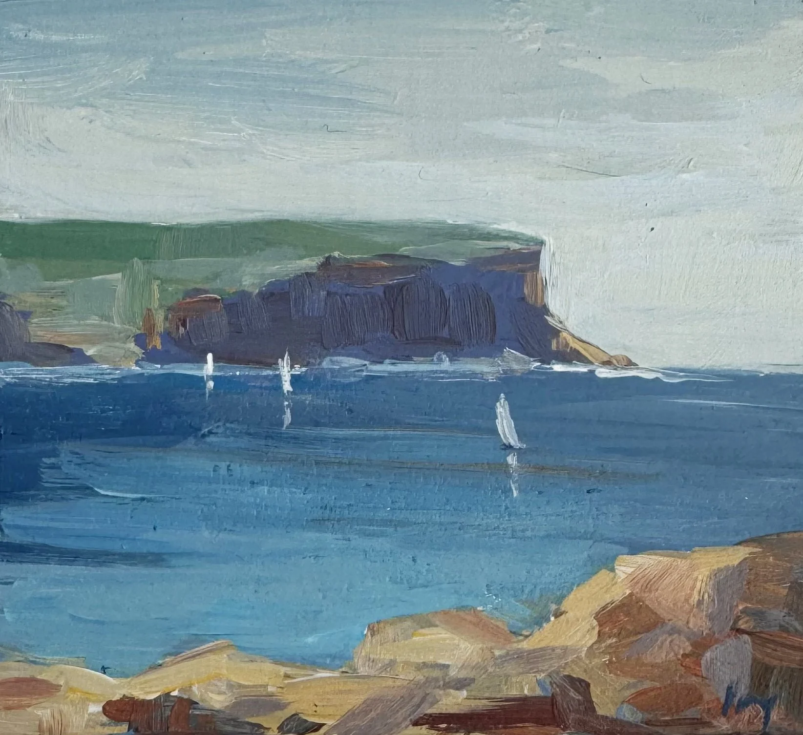 coast crop.jpg