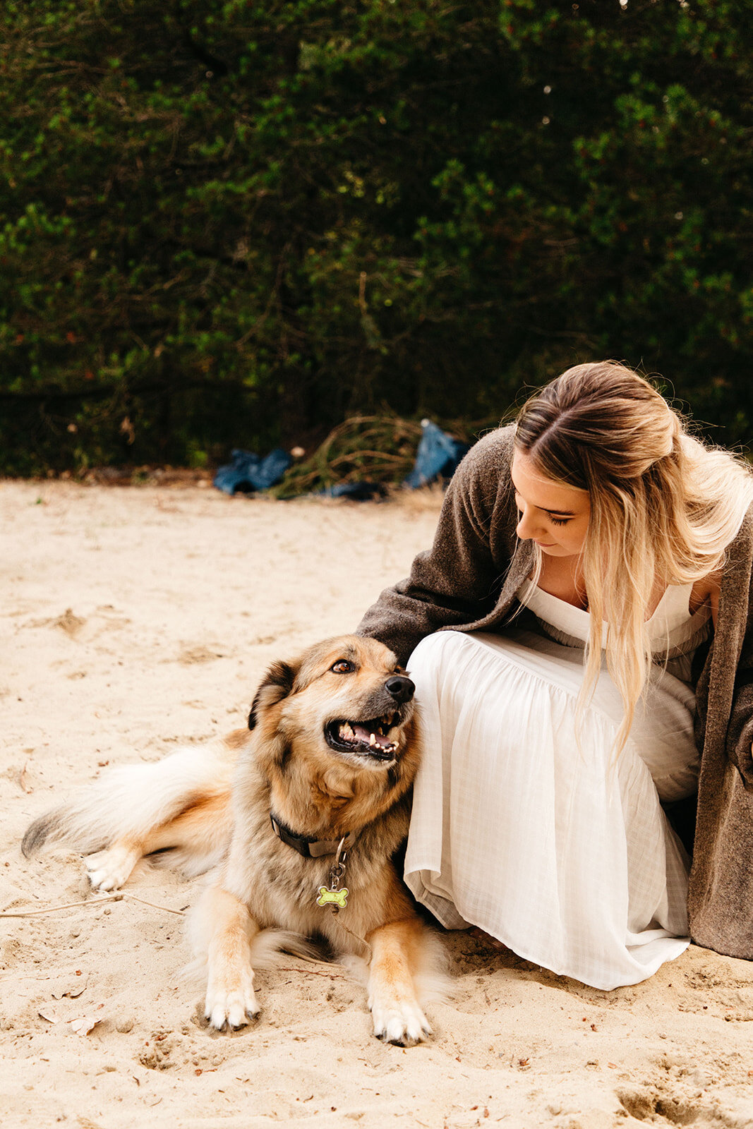 bride and dog.jpg