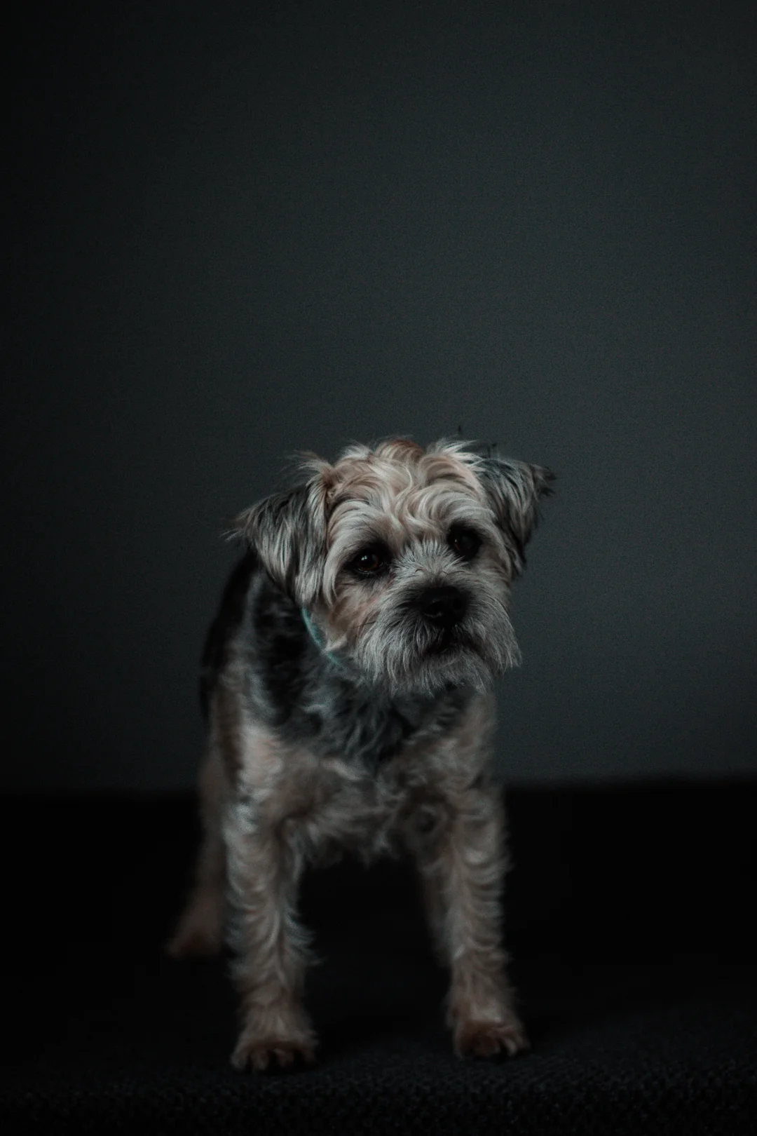 Team profile photos-3-2.jpg