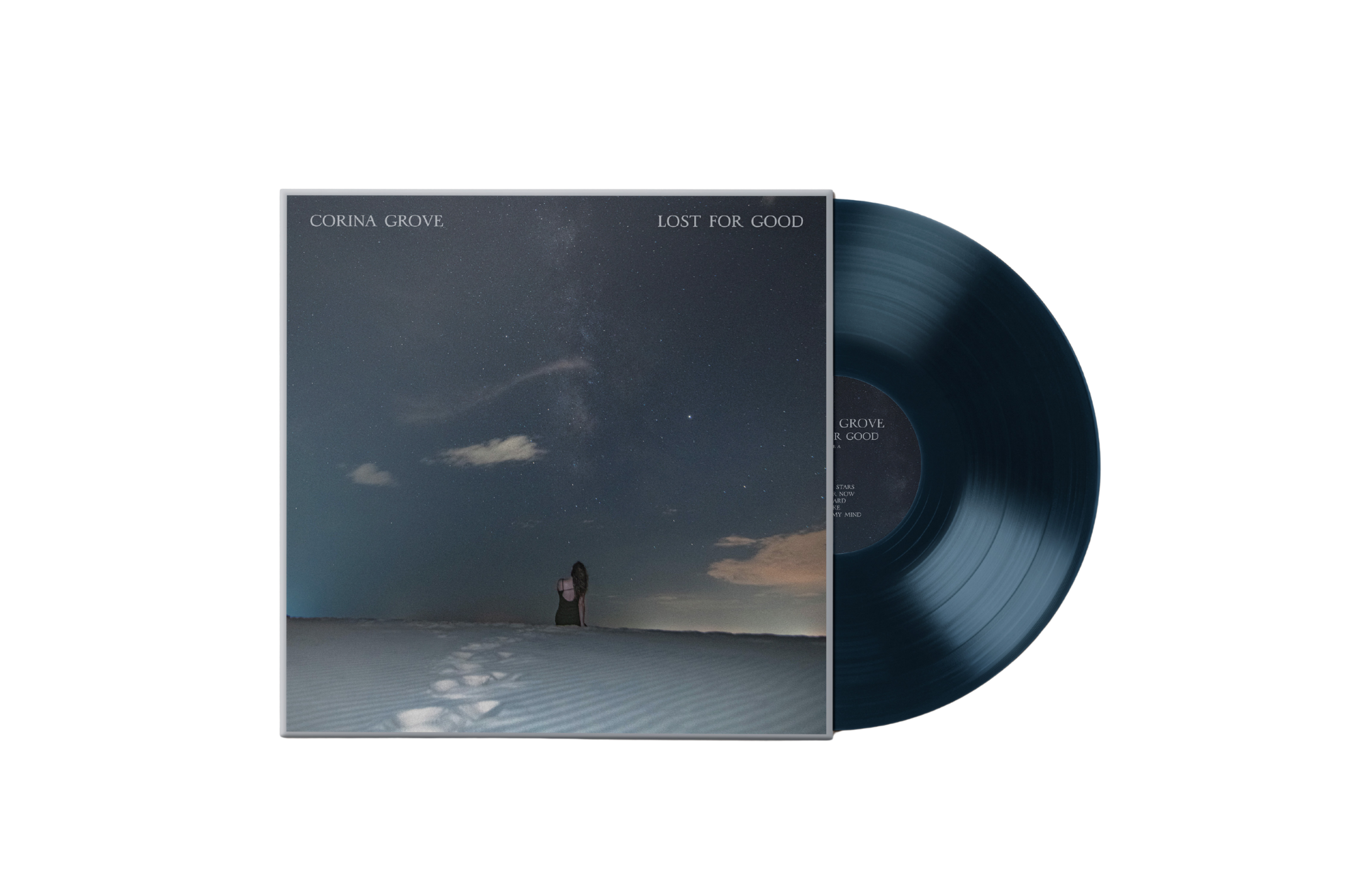 Vinyl Mockup Transparent 2.png