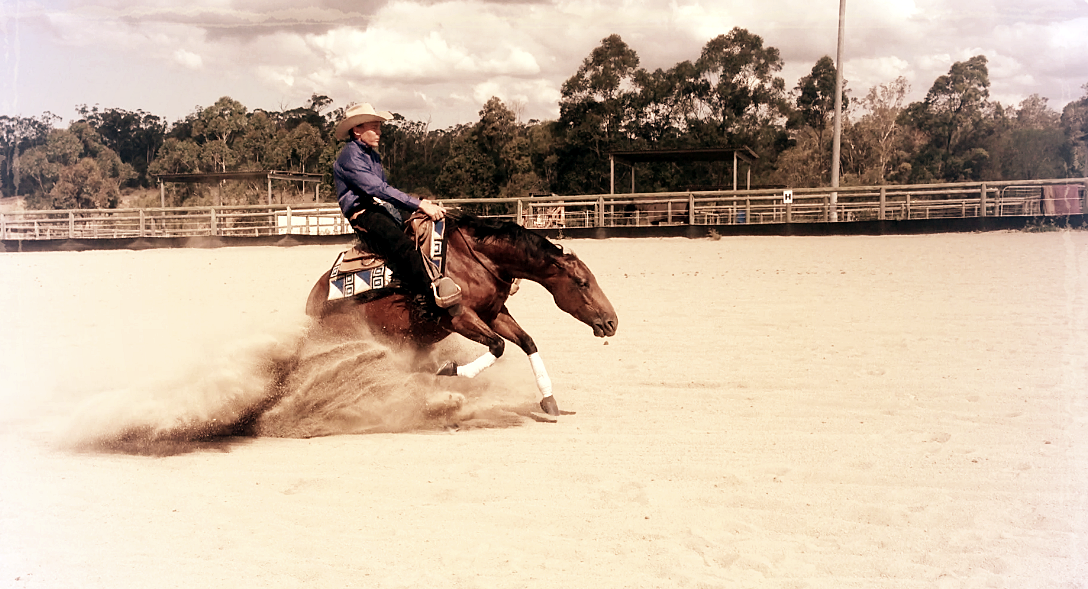 Yasmine bridleless.PNG