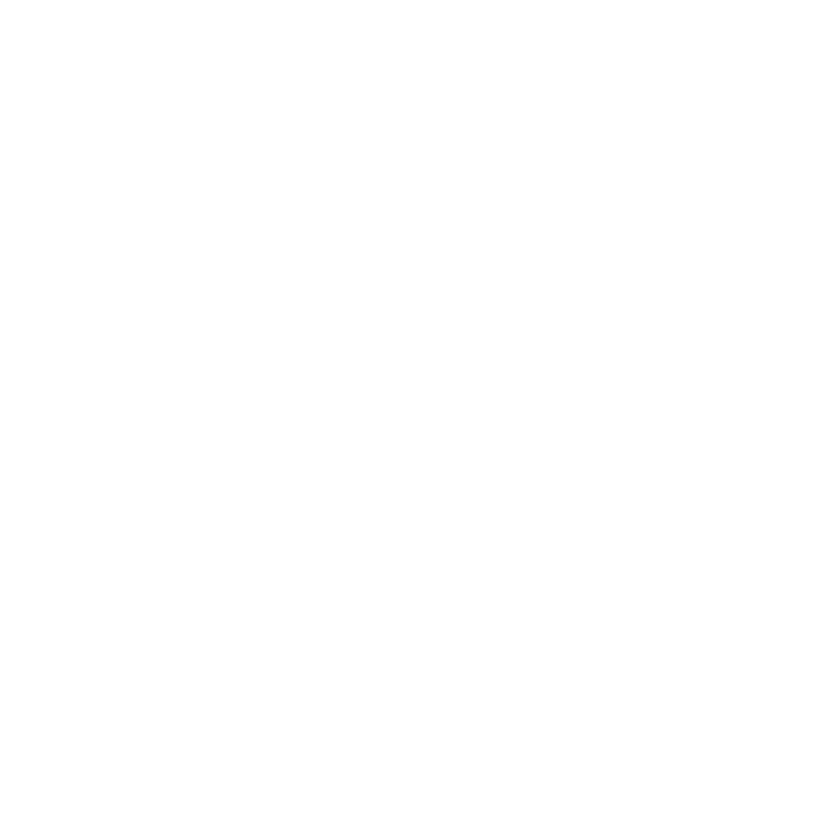 RR+Logo+White+Transparent+resized.png
