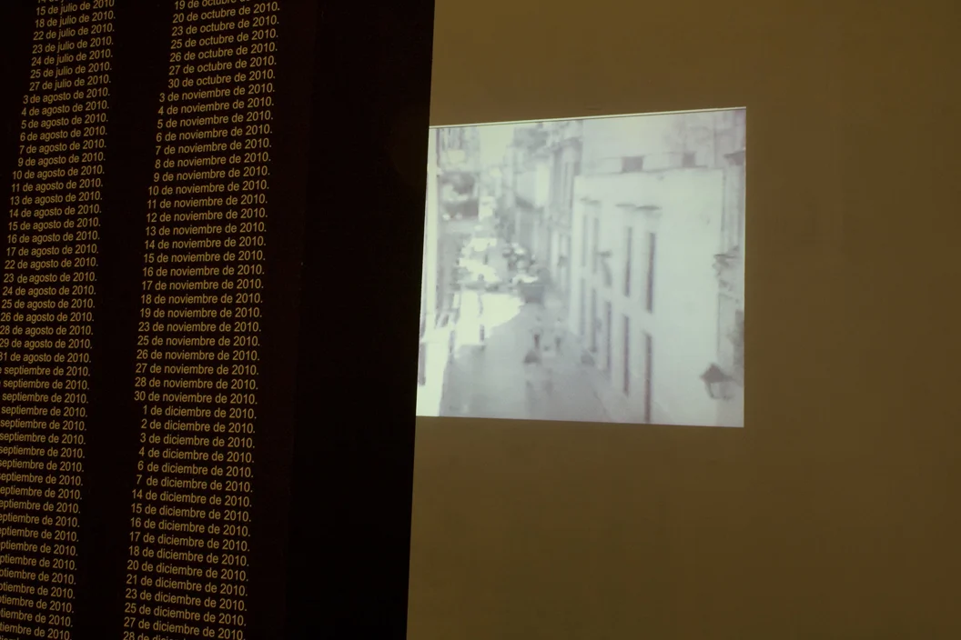     256 forgotten dreams. Video - Installation. variable dimensions. 2011       