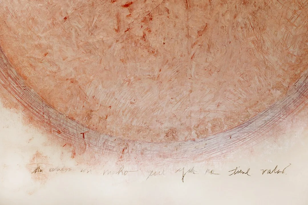 A painting with mold that no longer has value/ oil pastel on canvas/ 53x53 in/2021/Detail
