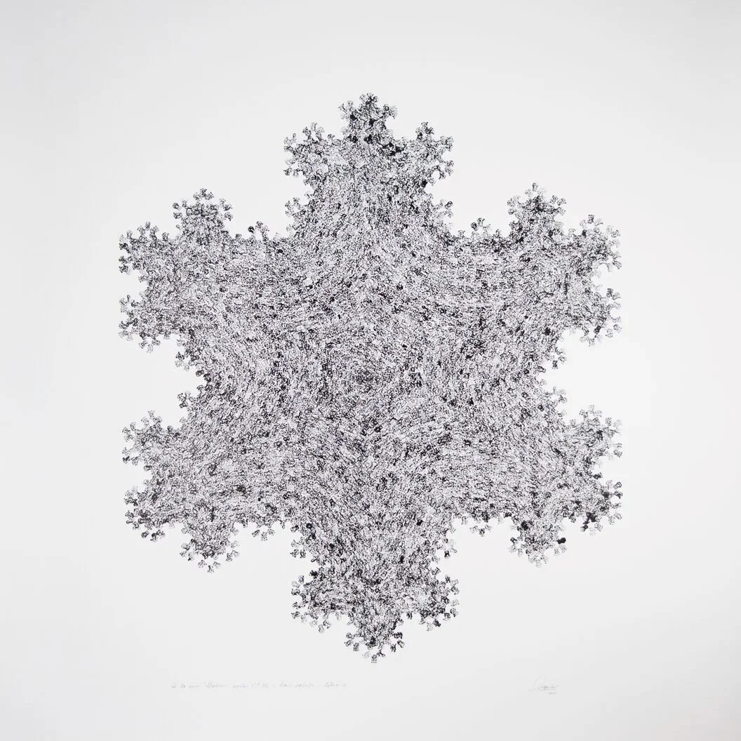 From the series: Umbra