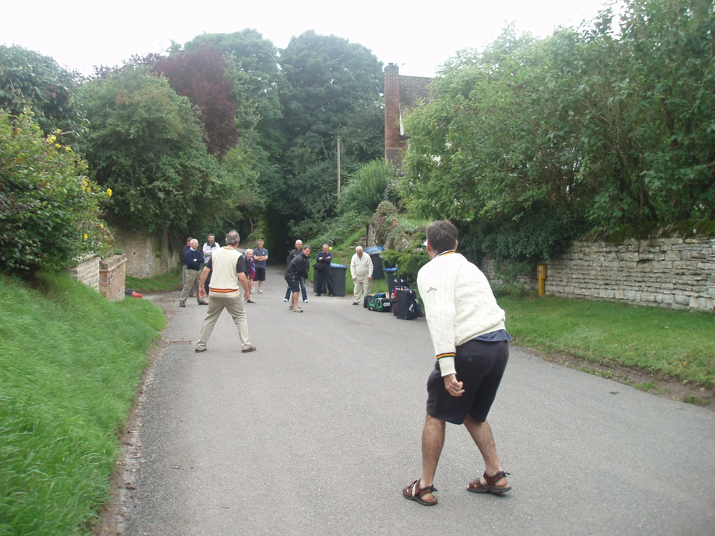 street cricket toads style.jpg