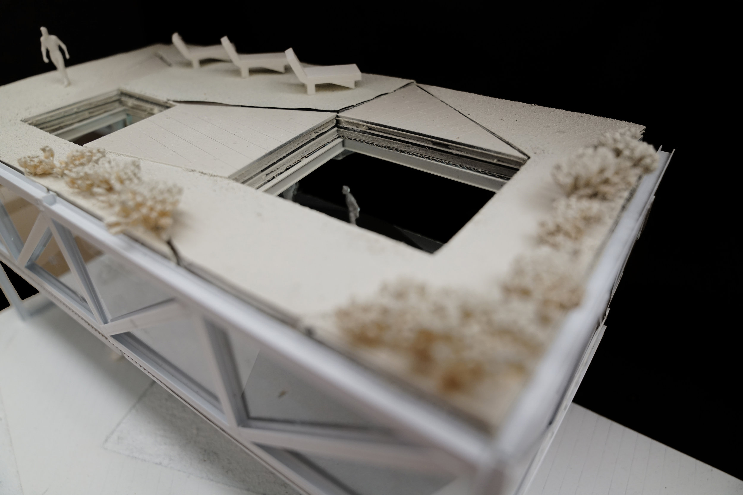  Designing a landscape meant to emulate the language of an angled ribbon, and establishing a system of skylights to enhance the connection between levels. 