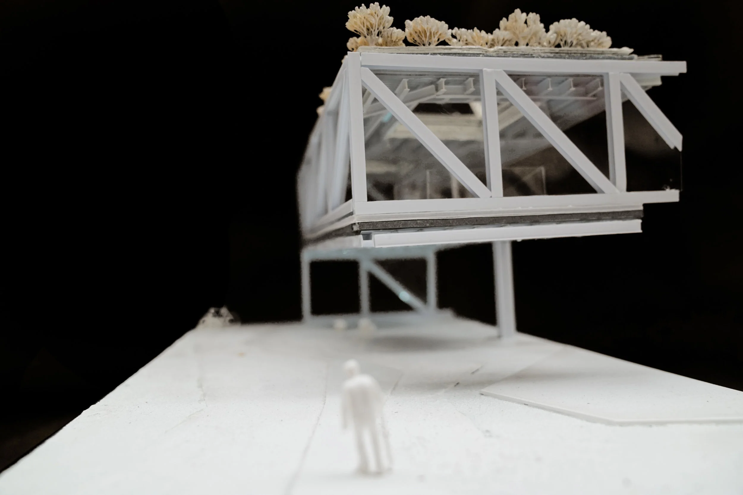  A space that lures you in thanks to the structural ability of the Pratt truss. 