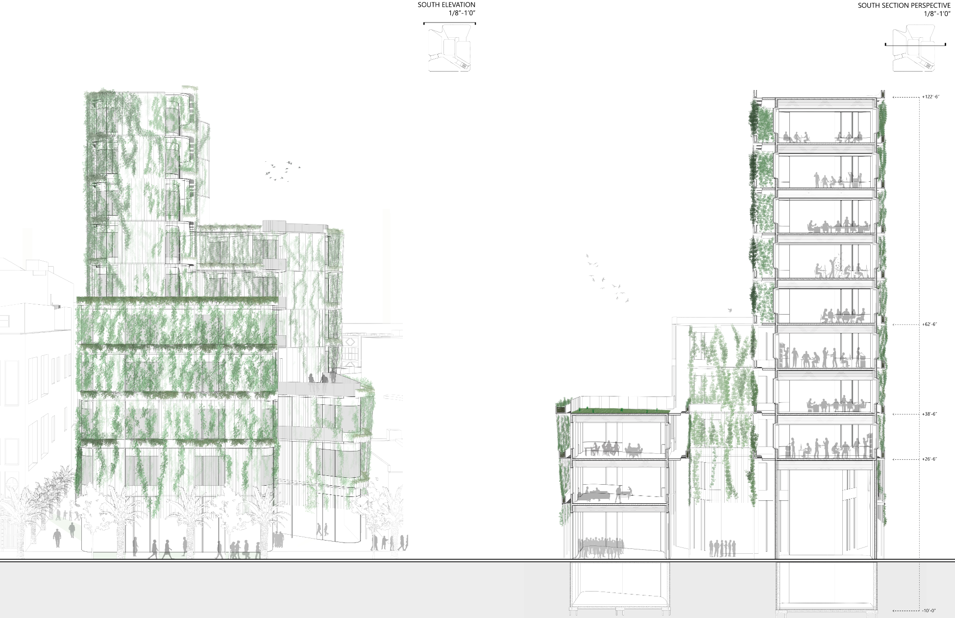 Discovery - Inner Courtyard