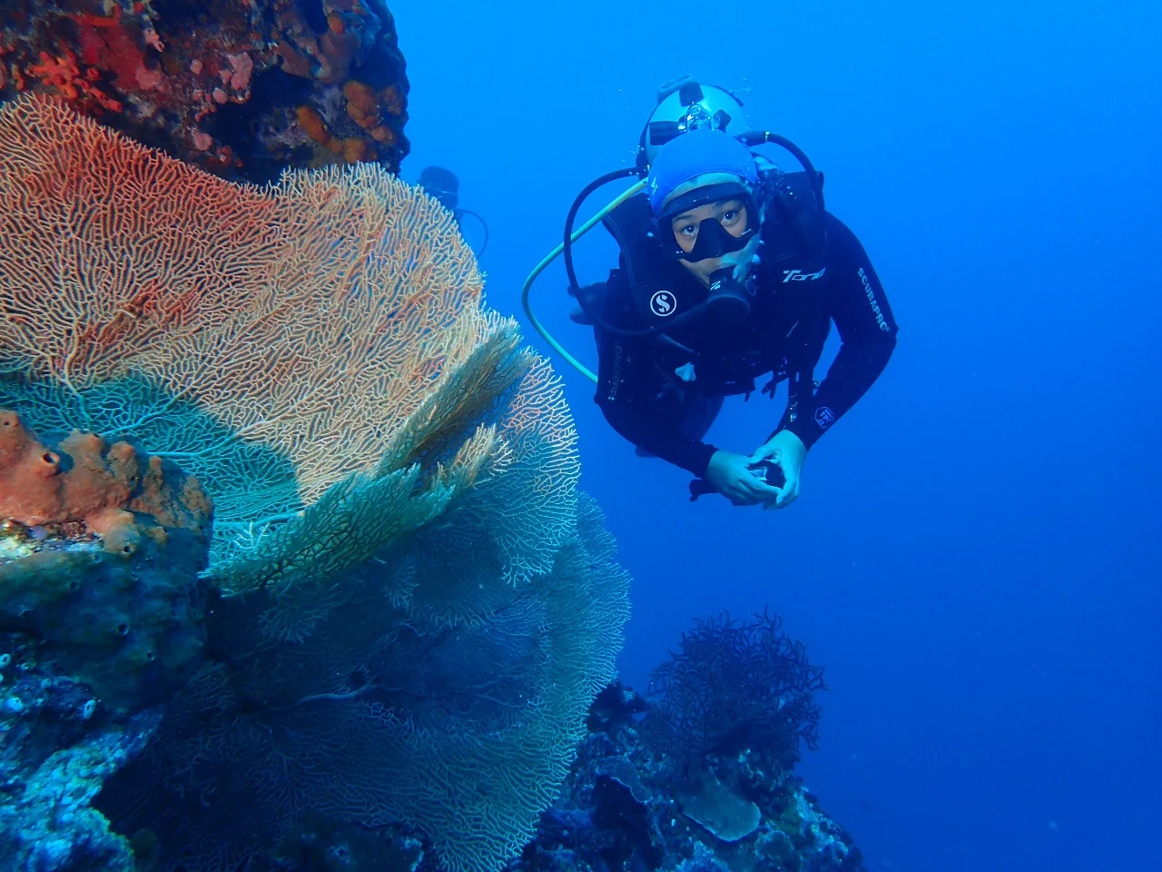 Photo credit to @akas_wakatobi at Wakatobi Dive Adventure