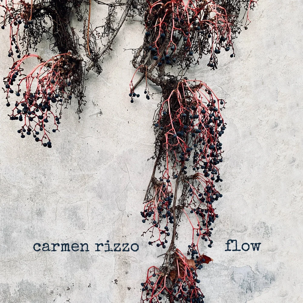 New Single by Carmen Rizzo