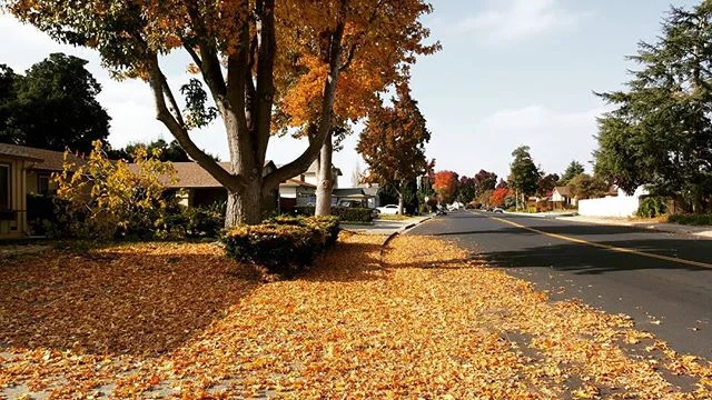31ce826f108094221cb91891d9bb0082.jpg