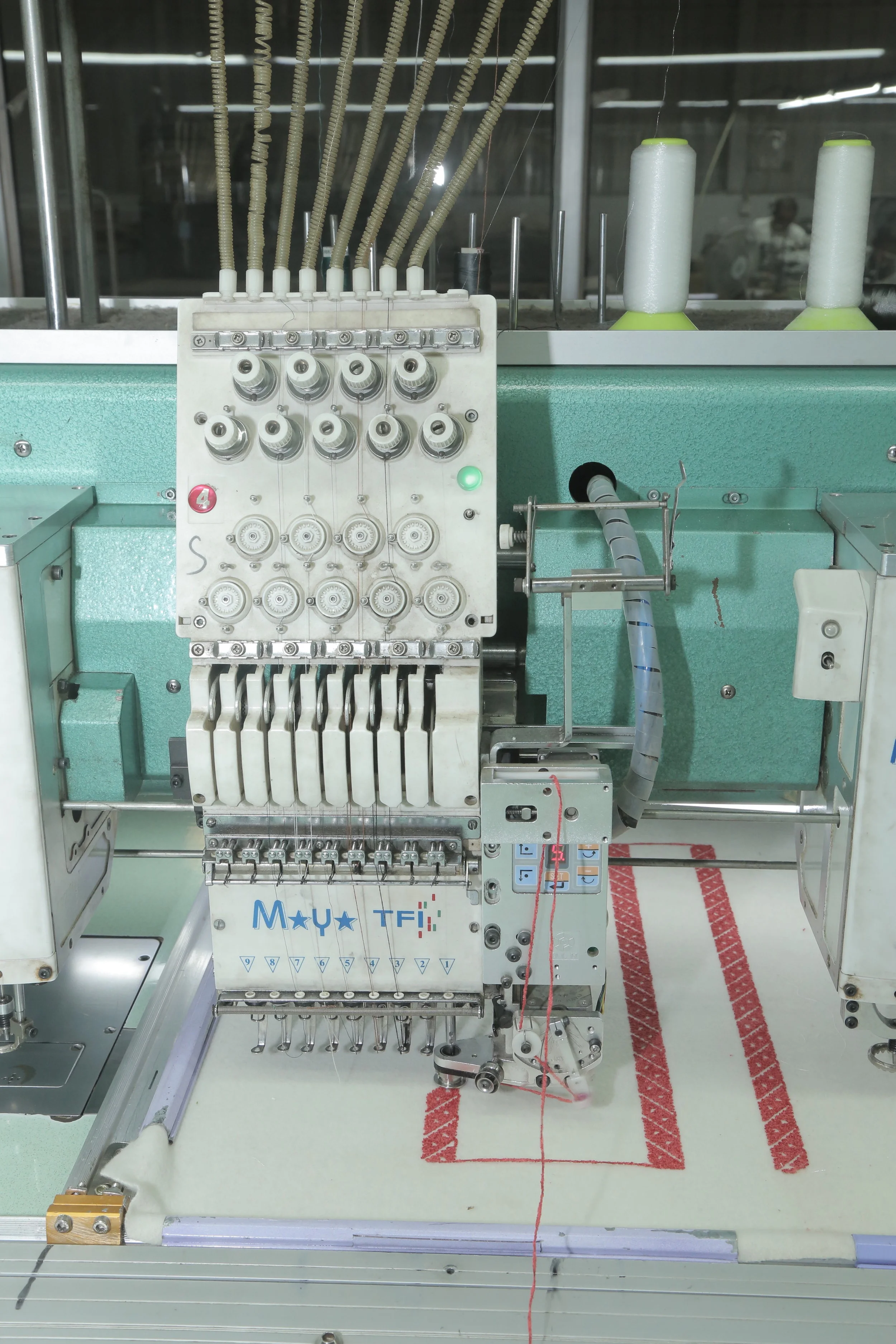 3B1A1525.JPG
