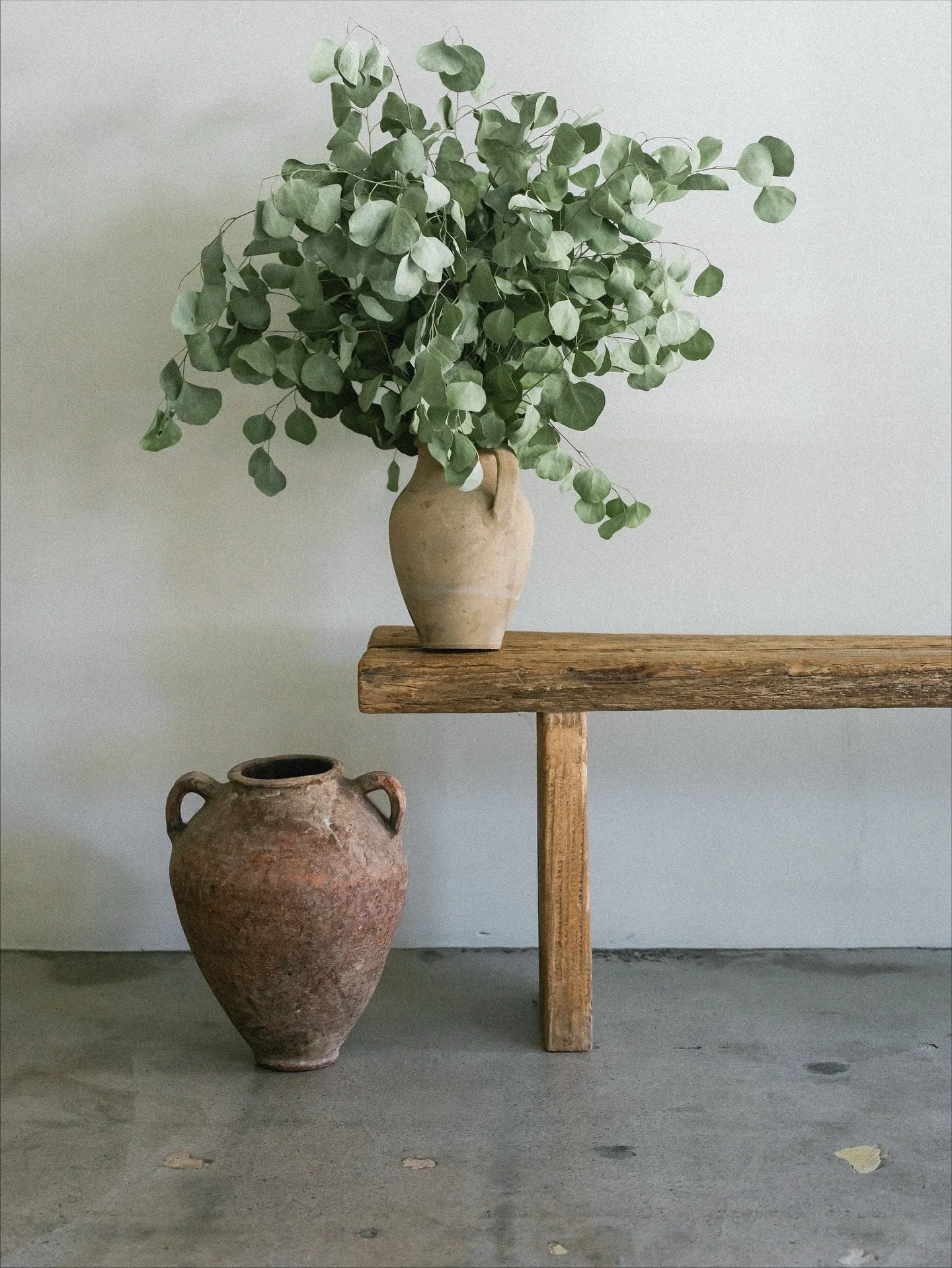 Woohoo 〰️ @mattphippen is coming back to the @sapphirepilates! Join him for GROUNDED STRENGTH, a workshop all about connecting the feet to glutes.

Sunday, November 16th from 2 to 4:30pm
Link in bio to book 🌻

ps keep swiping left, it only gets sill