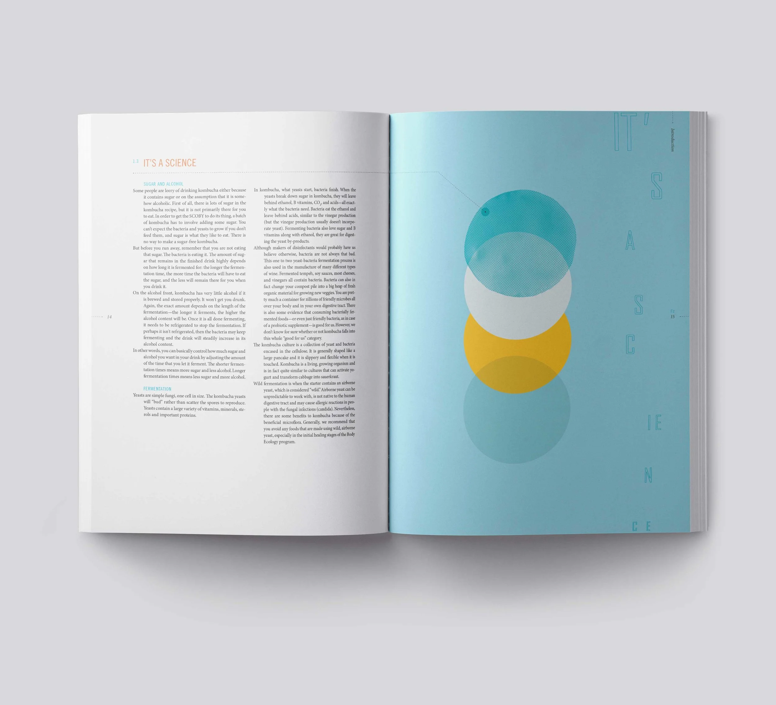 Magazine-USLetter-A4-Mockup-Template_2_1_LOW.jpg