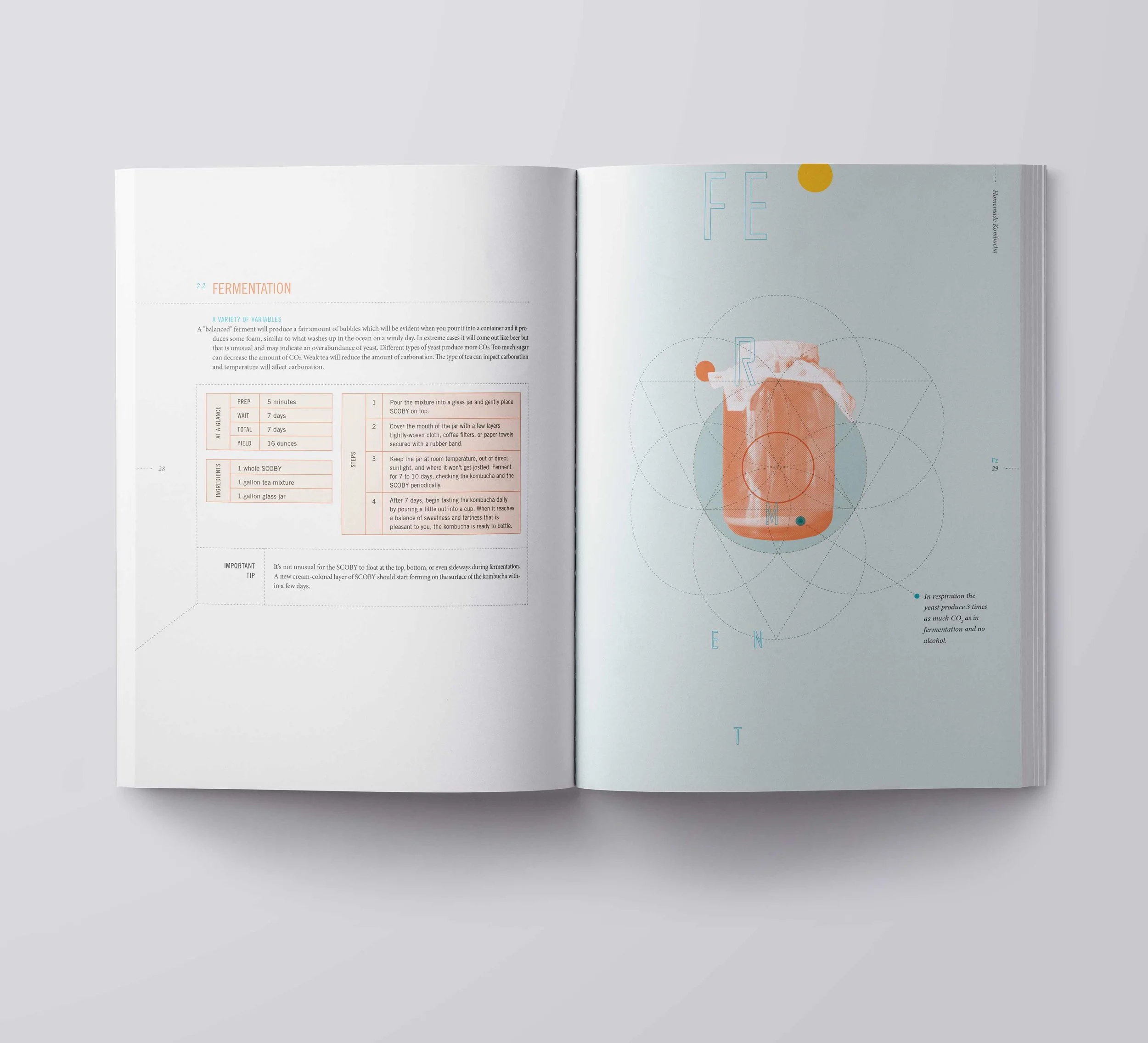 Magazine-USLetter-A4-Mockup-Template_3_LOW.jpg