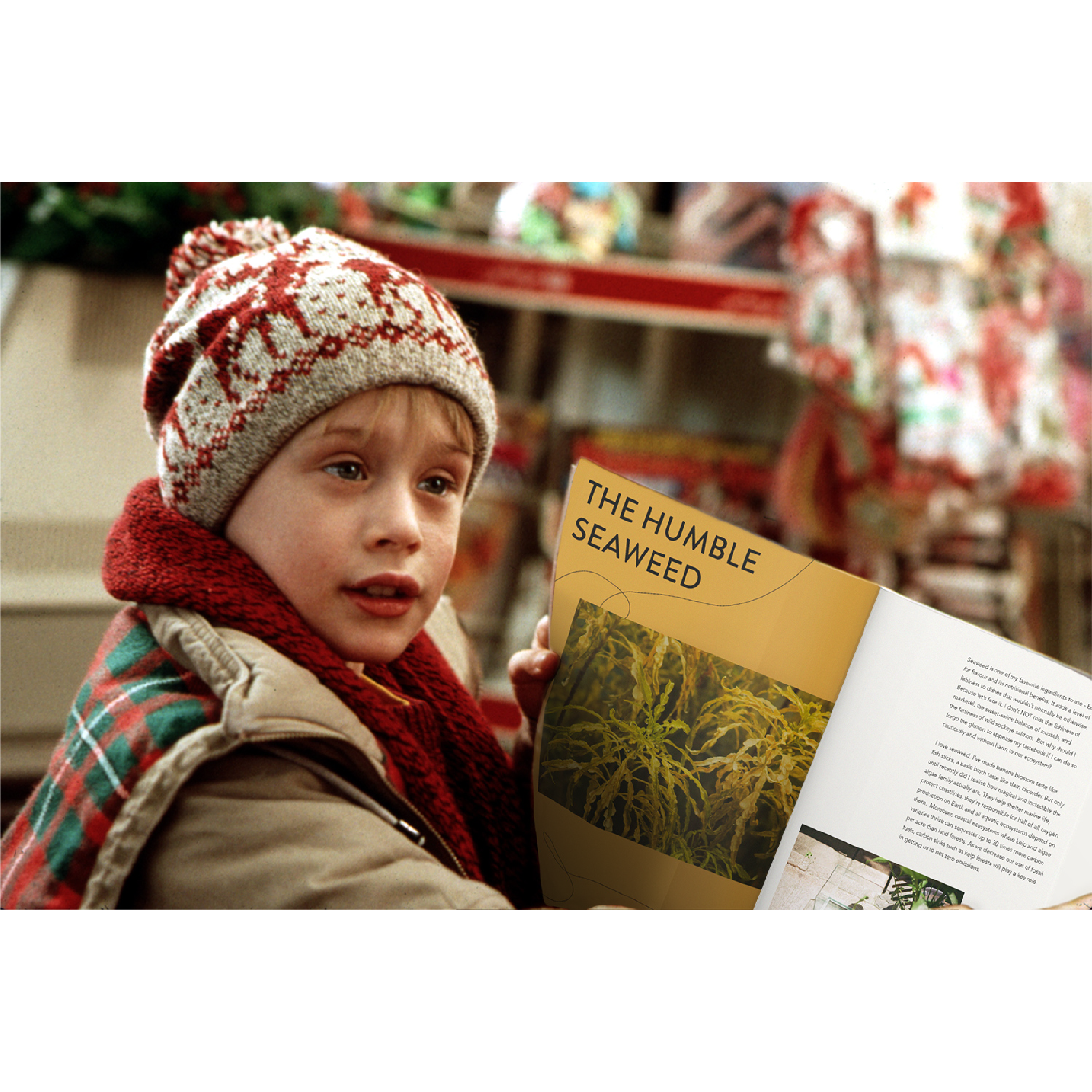 potfolio_display_4.png
