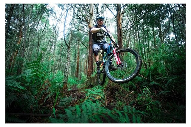 Important update RE Warburton Mountain Bike Destination Project - the project has hit a road block and needs your help to get over the line. The project is fully funded with an extensive master plan playing extremely close attention to the ecology an