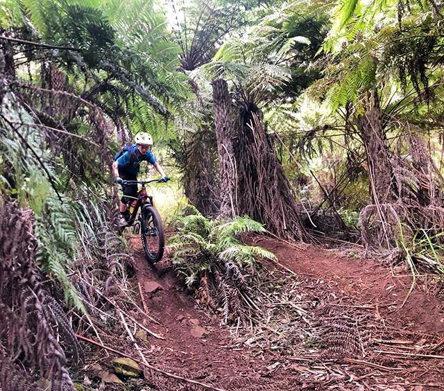 Do you want to be like Archer here and have all the fun, on some of the best trails around? Then don&rsquo;t forget our junior ride program is on AGAIN, TOMORROW NIGHT! Same place and time, that&rsquo;s 5pm sharp for a 5:05pm departure, from the inte