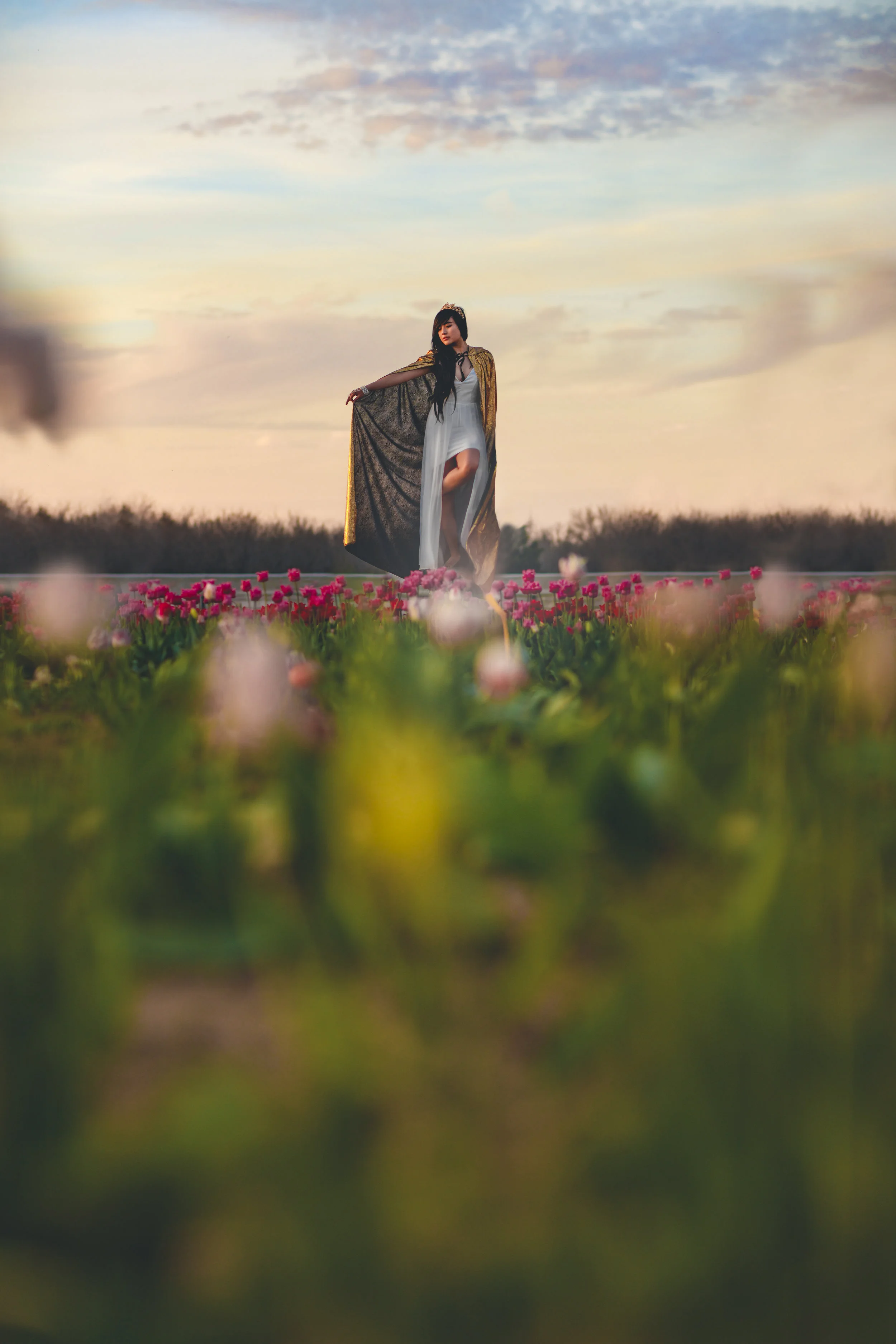 jltulips04.jpg
