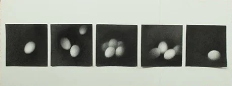 Jane Gerrish,&nbsp;Collect,&nbsp;charcoal, 21 x 21cm each