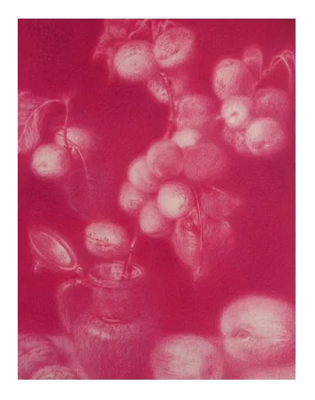 Jane Gerrish,&nbsp;Orchard, from the Orchard series,&nbsp;coloured pencil, 40 x 41cm