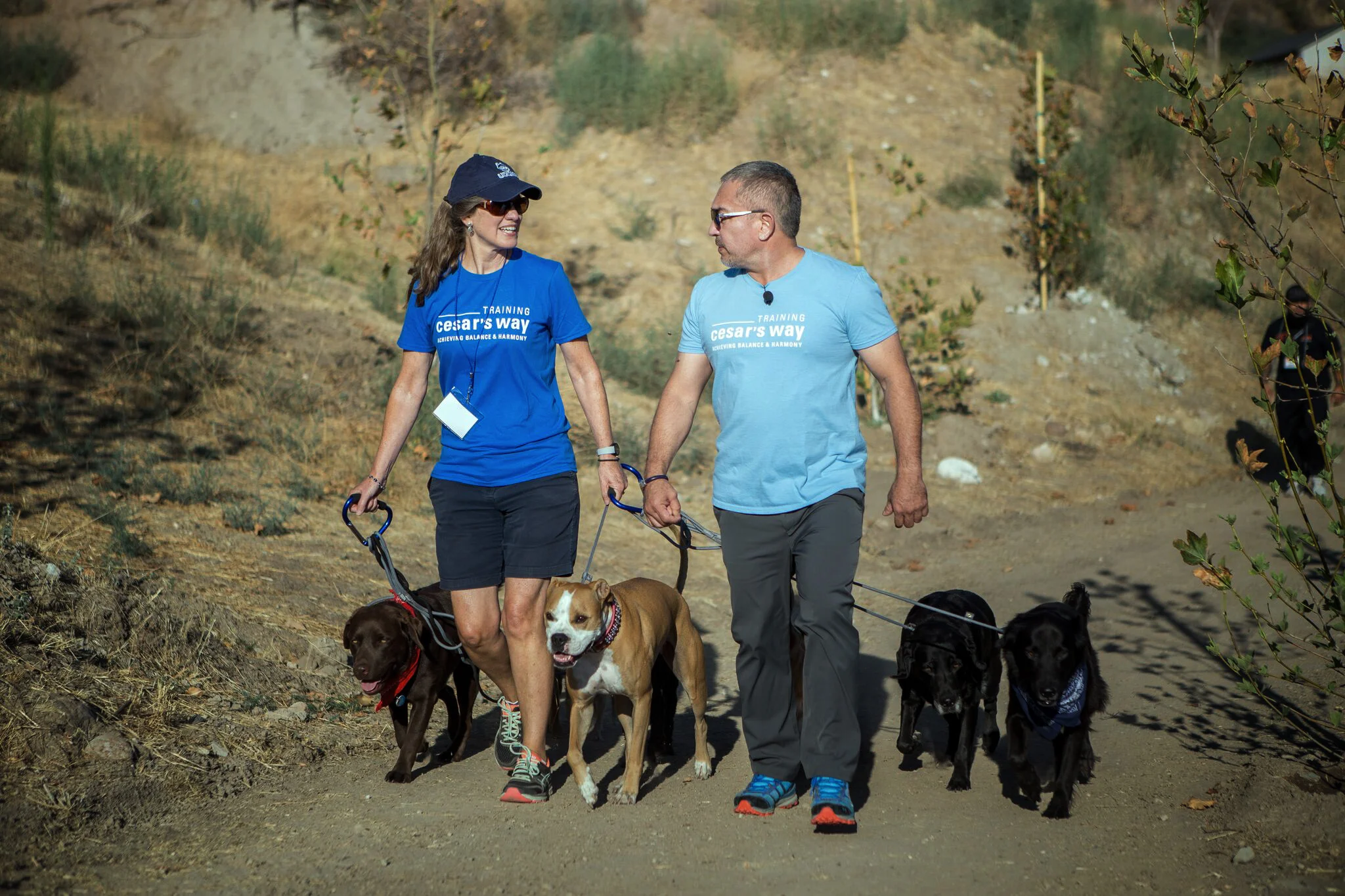 CodysDogTraining-CesarMillan.jpg