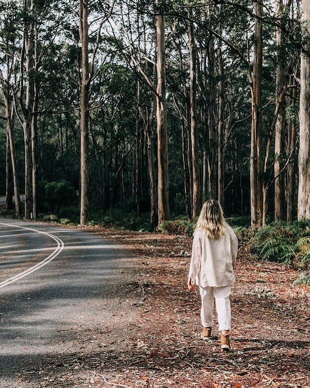 The Boranup Forest is a beautiful natural wonder located in the heart of the Margaret River region in Western Australia. This ancient forest covers an area of over 12,000 hectares and is home to towering karri trees that can reach up to 60 meters in 