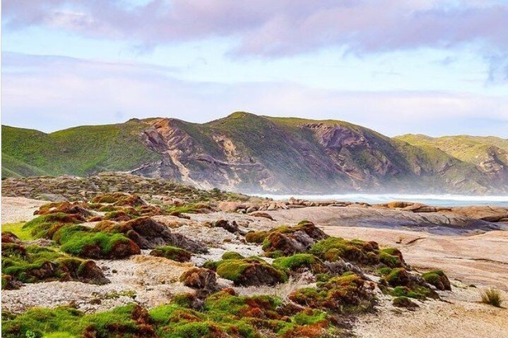 Rocky shores and grassy peaks. 🌄​​​​​​​​
​​​​​​​​
Shot captured by @imaginimage_photography from Eagles Nest and Boat Harbour.​​​​​​​​
.​​​​​​​​
.​​​​​​​​
.​​​​​​​​
.​​​​​​​​
.​​​​​​​​
.​​​​​​​​
.​​​​​​​​
.​​​​​​​​
.​​​​​​​​
#DenmarkWA​​​​​​​​
#Grea