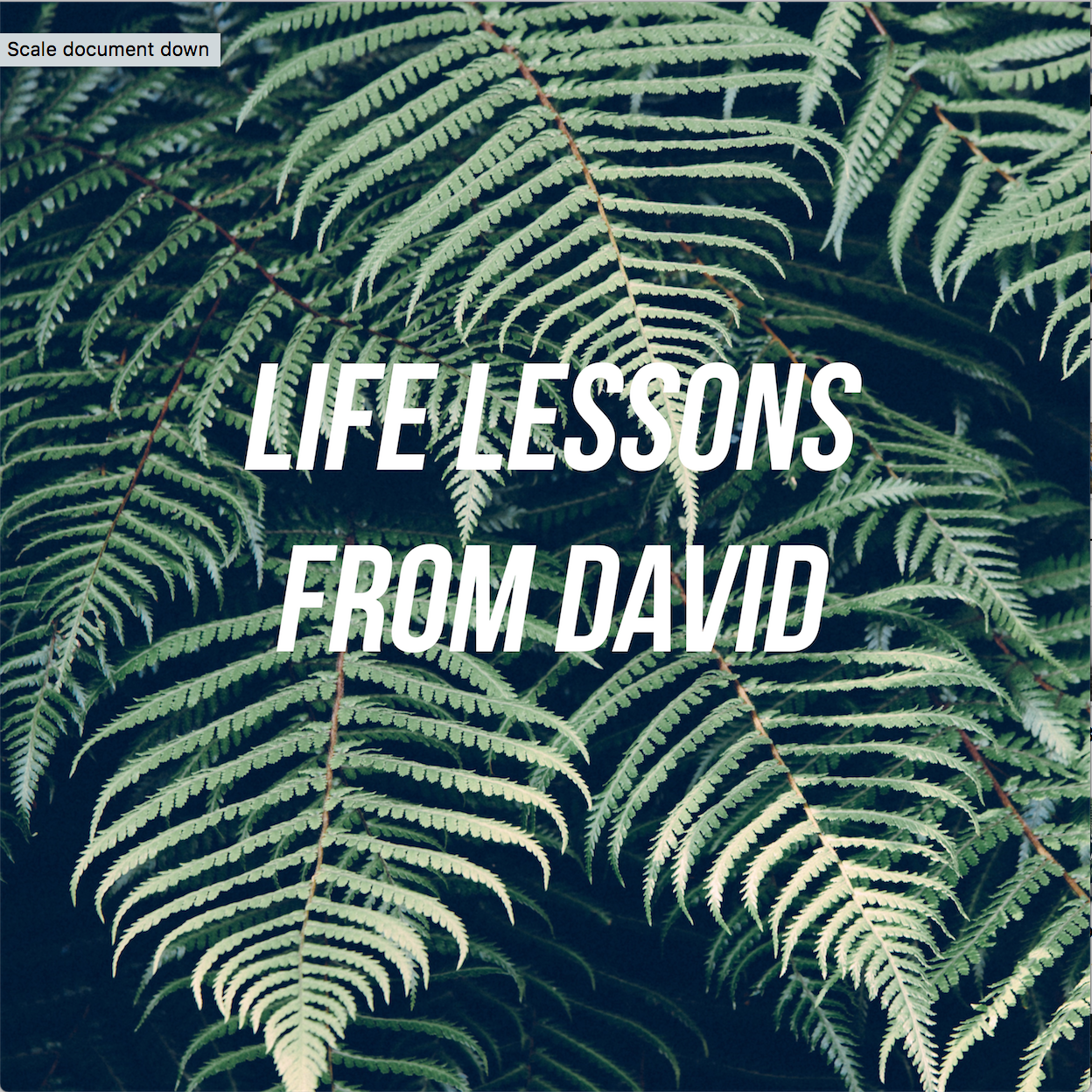 Life Lessons from David