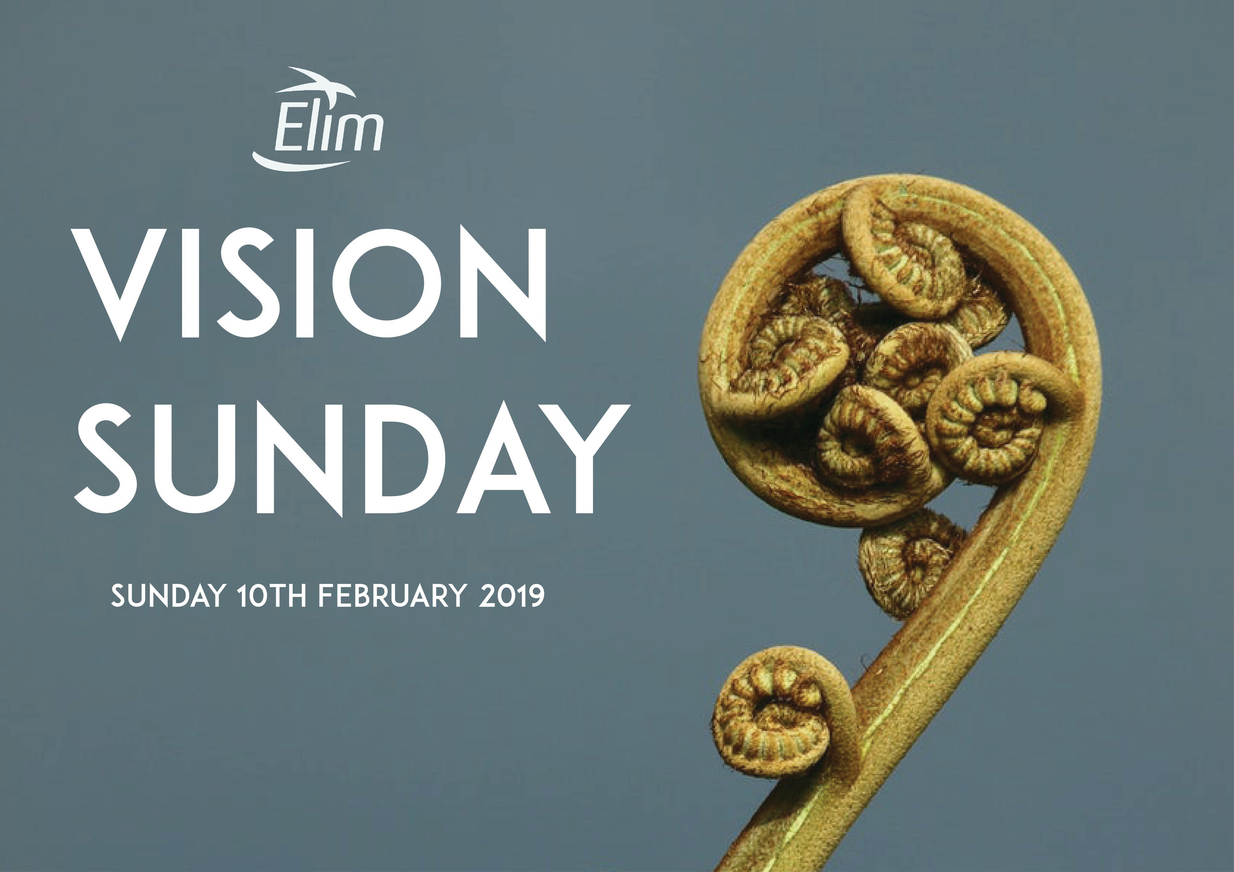 Vision Sunday 